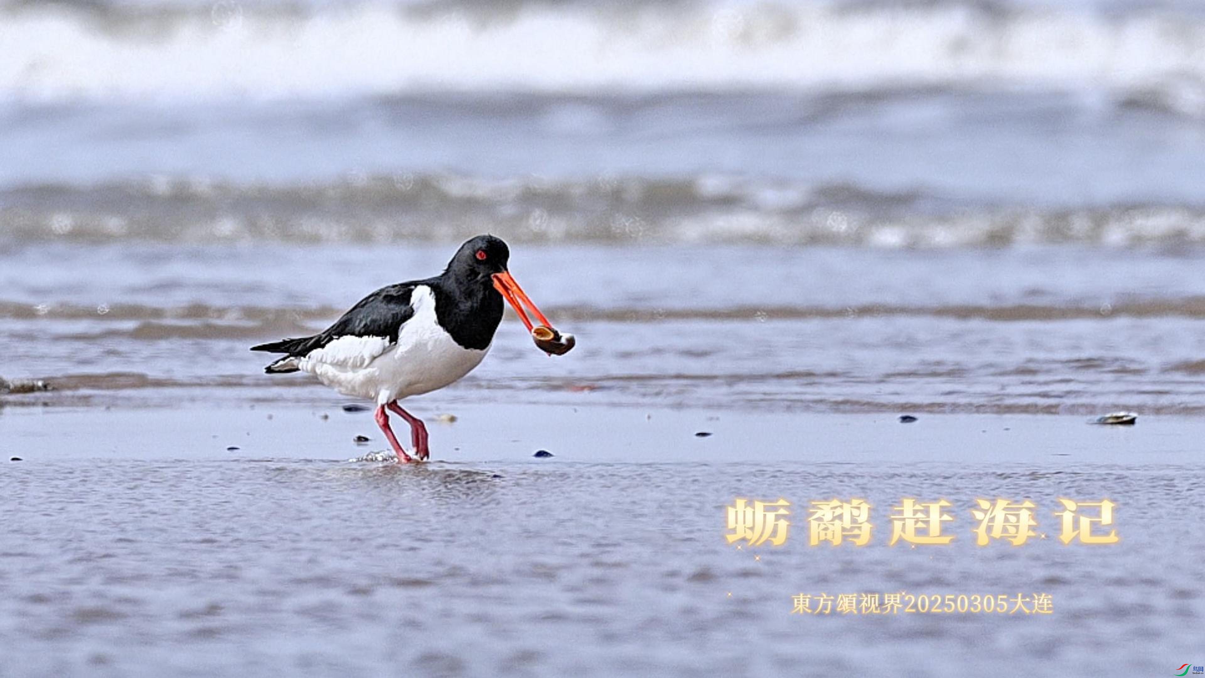 7��3�� ���ָϺ���-����.jpg.jpg