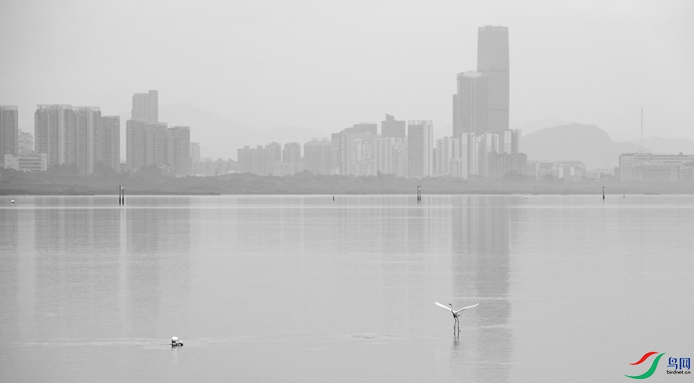 DSCF6685.1.jpg