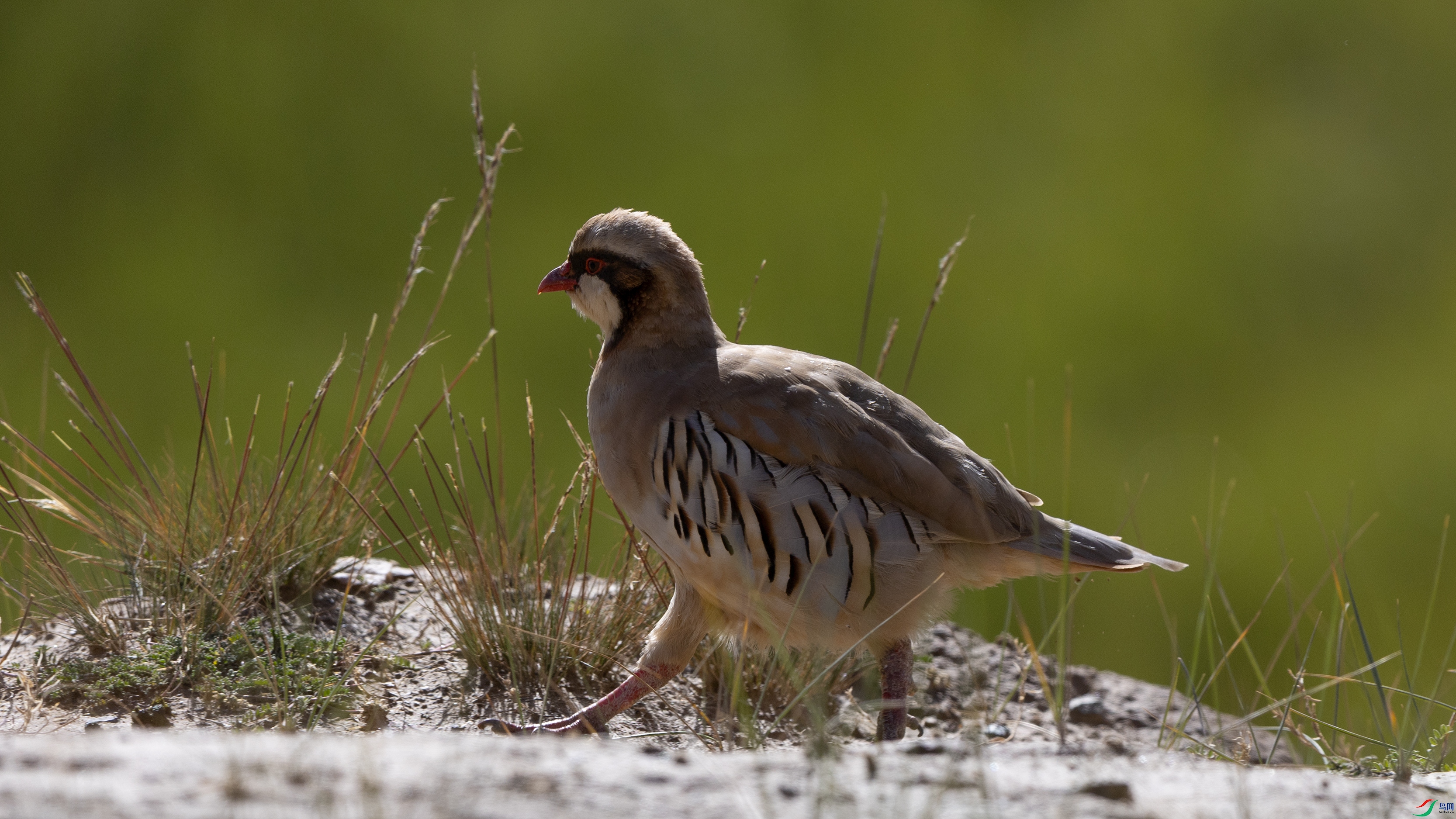 7X5A9429 ����4444.jpg