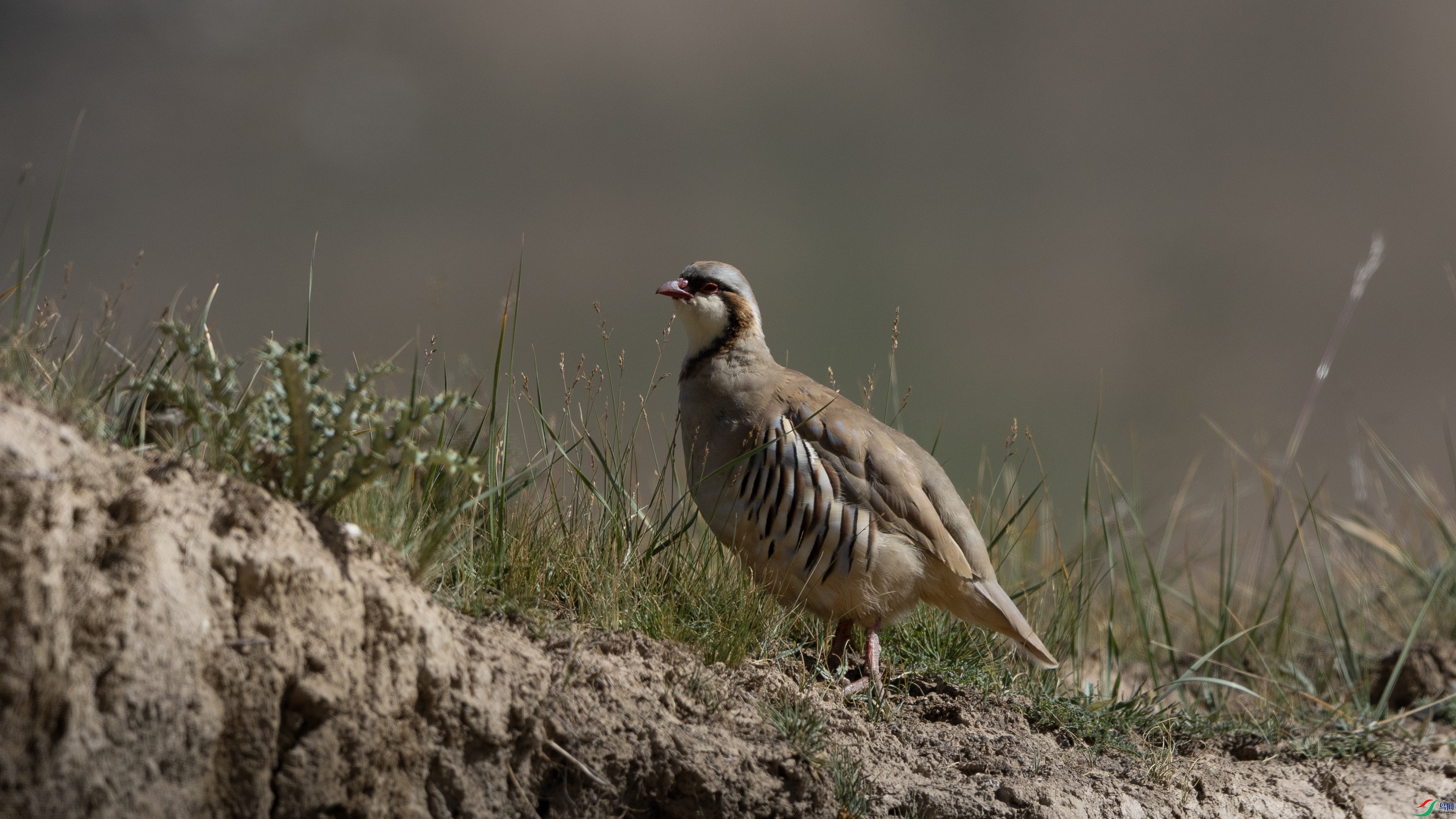 7X5A9831 ����.jpg