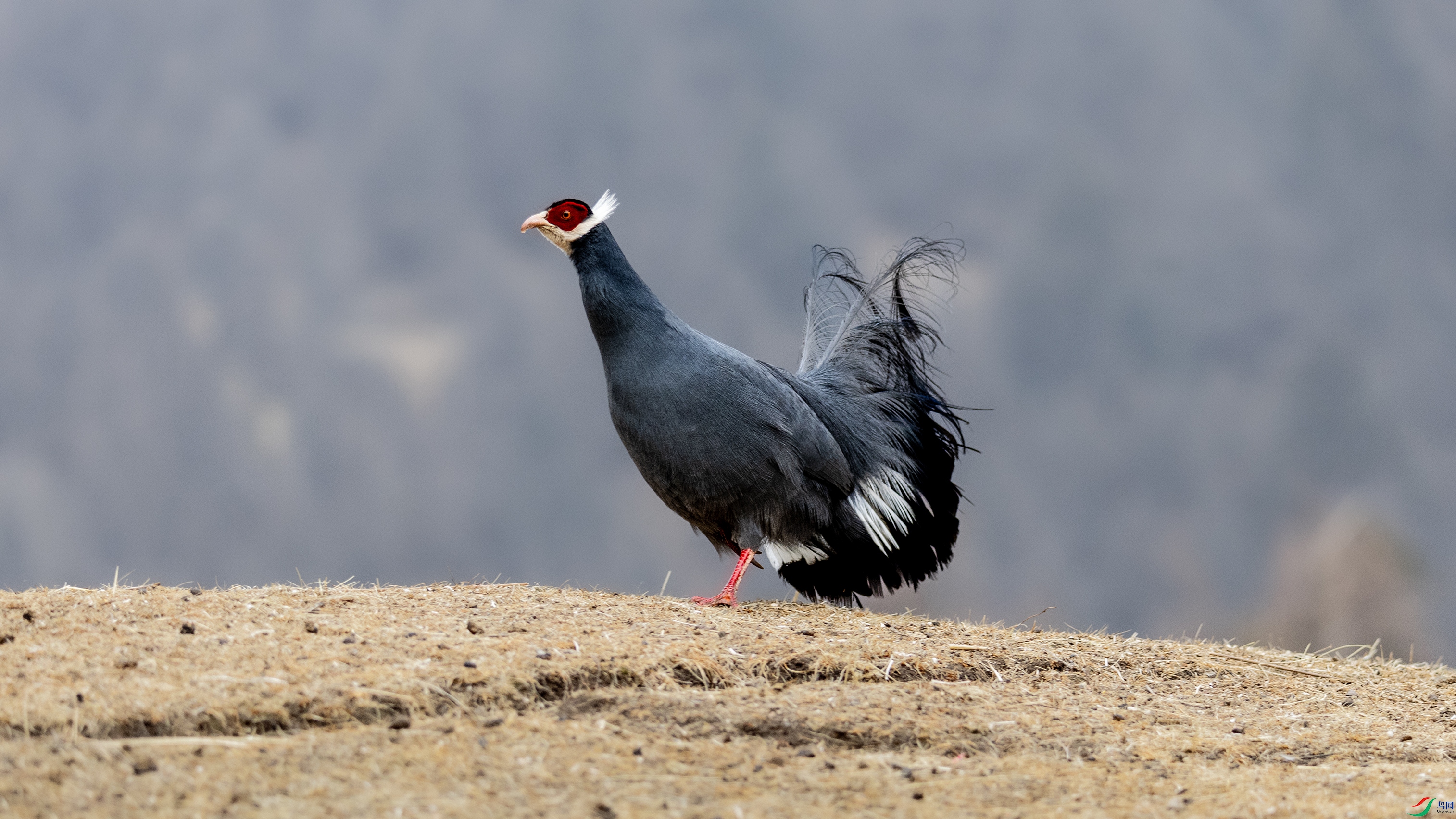 7X5A0053 ����.jpg