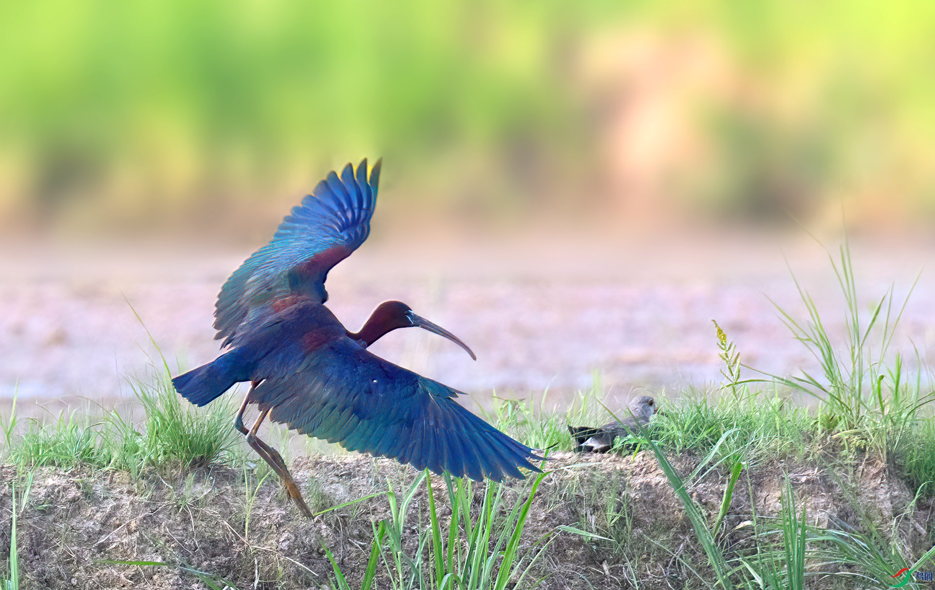 060A5678 ����-Sh----1 .jpg