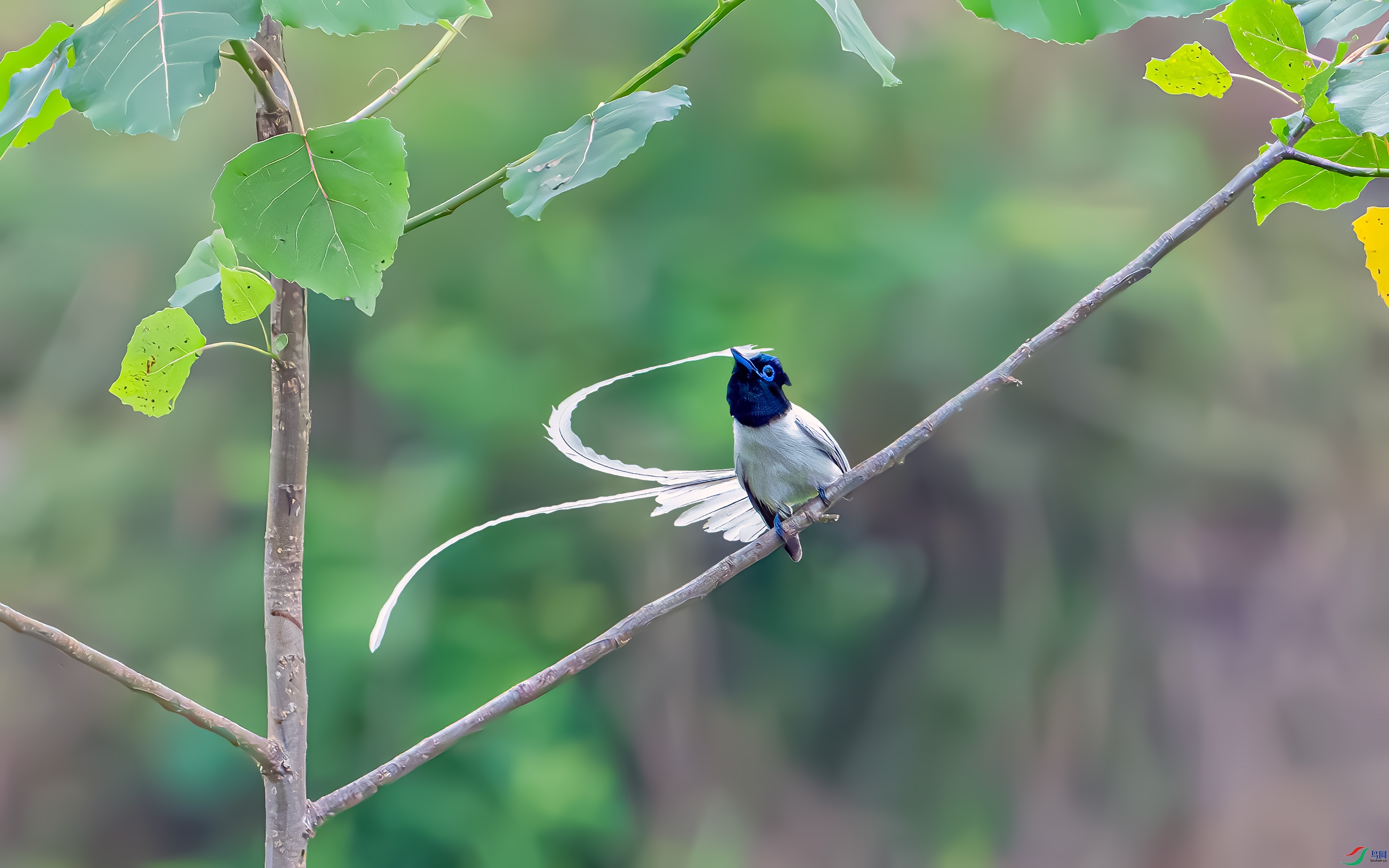 DSC_5719.jpg