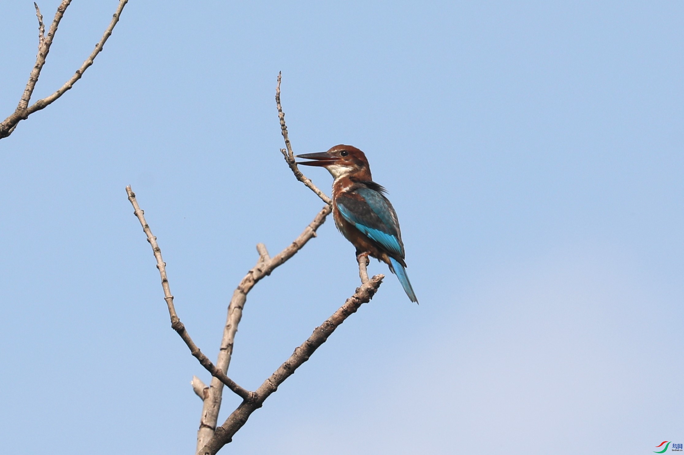 BL7A0969.JPG