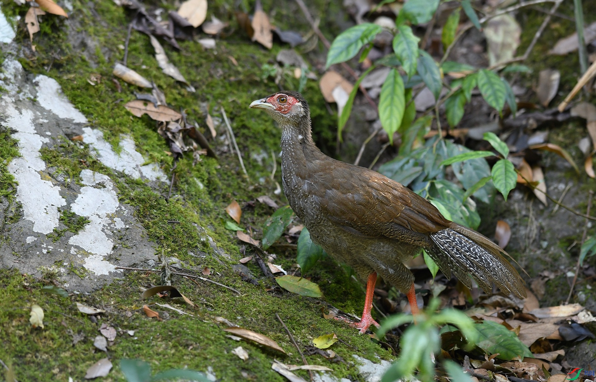 DSC_4272.jpg