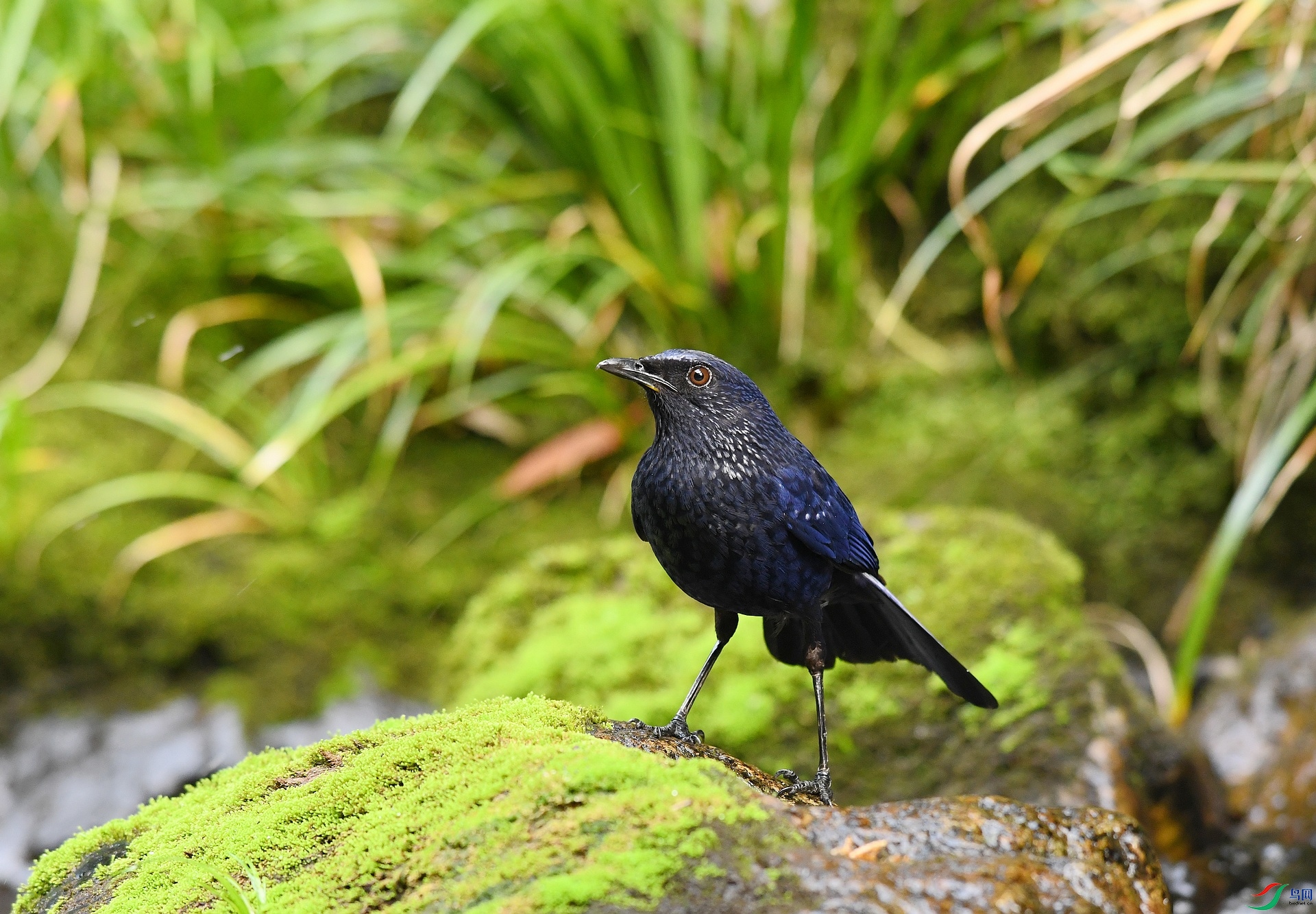 DSC_5489.jpg