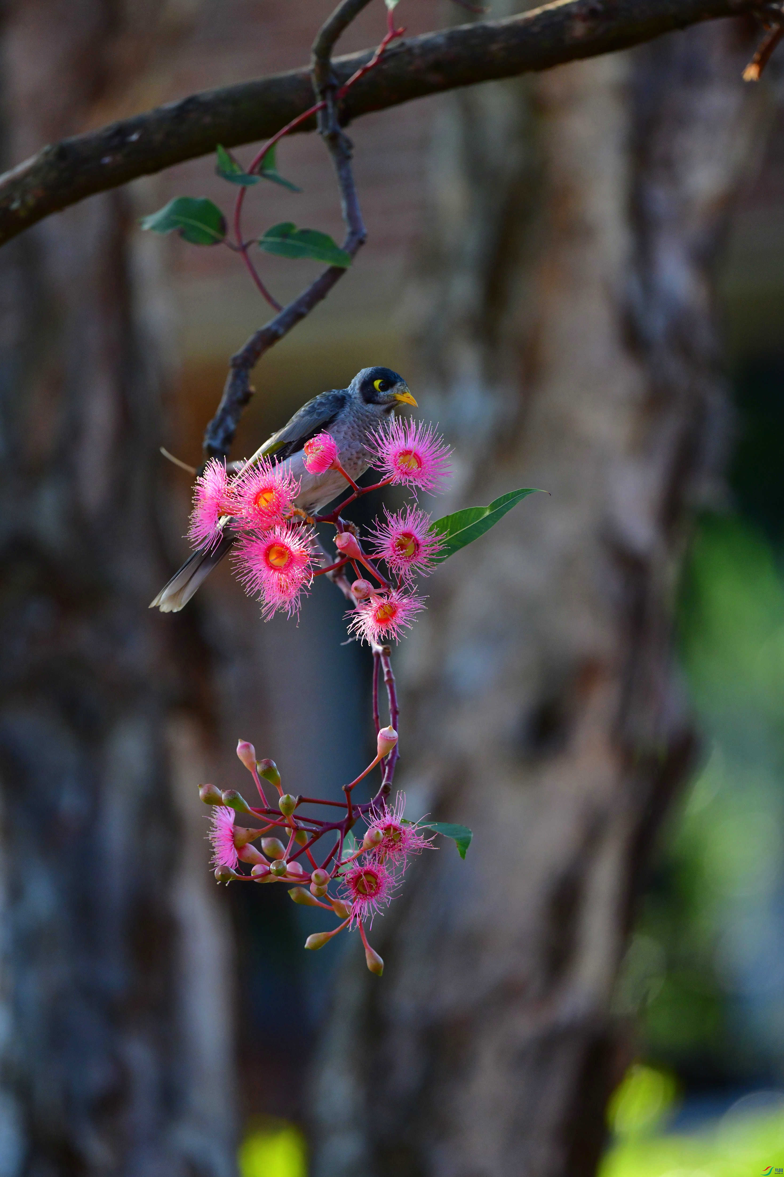 DSC_6192_��ͼ��_����.jpg