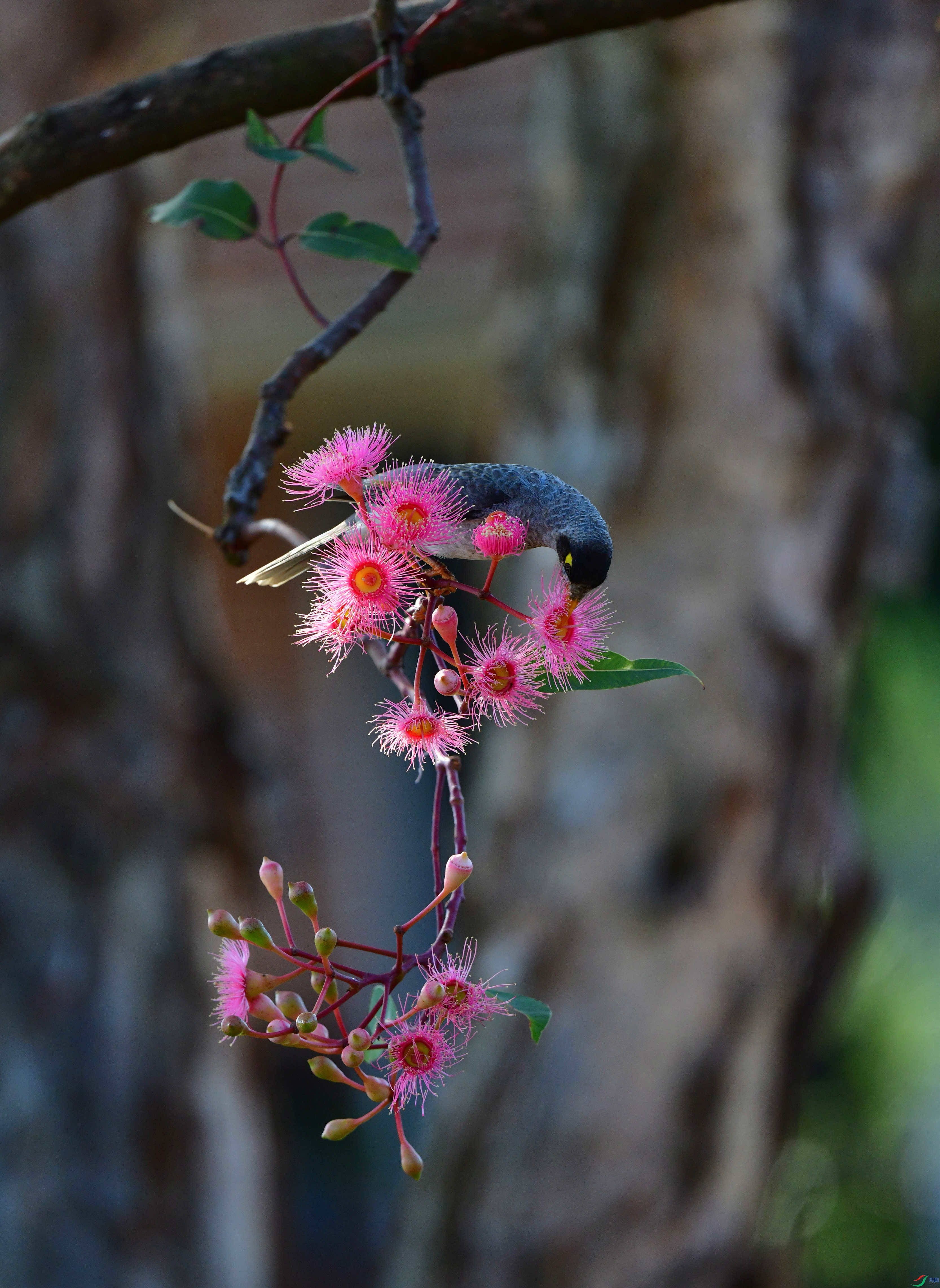 DSC_6206_��ͼ��_����.jpg