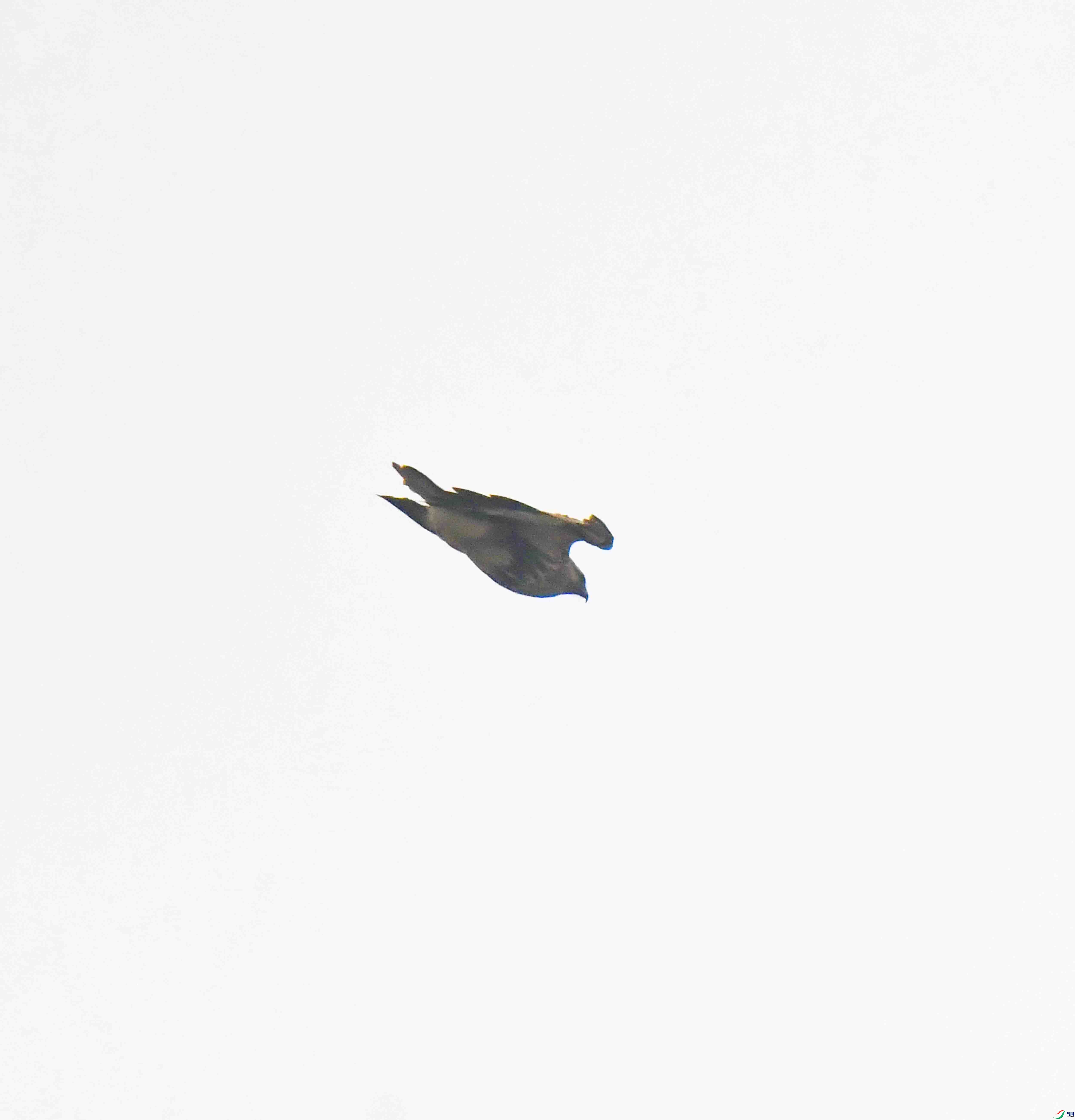 DSC_4476.JPG