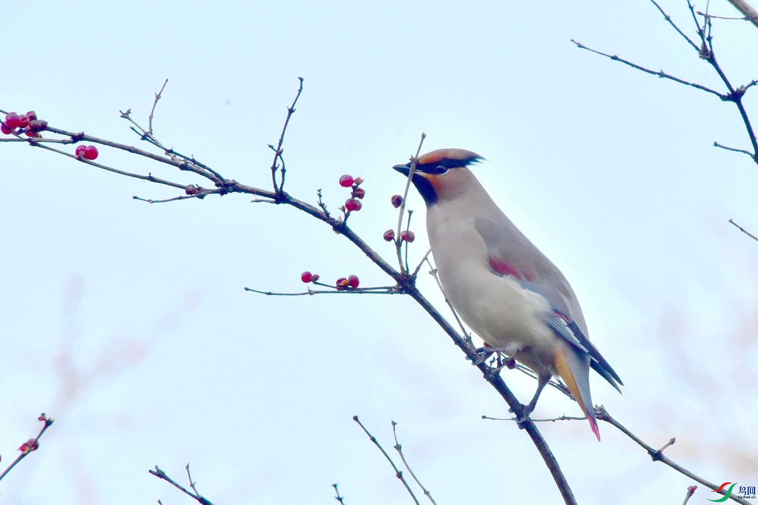 DSC_5841.JPG