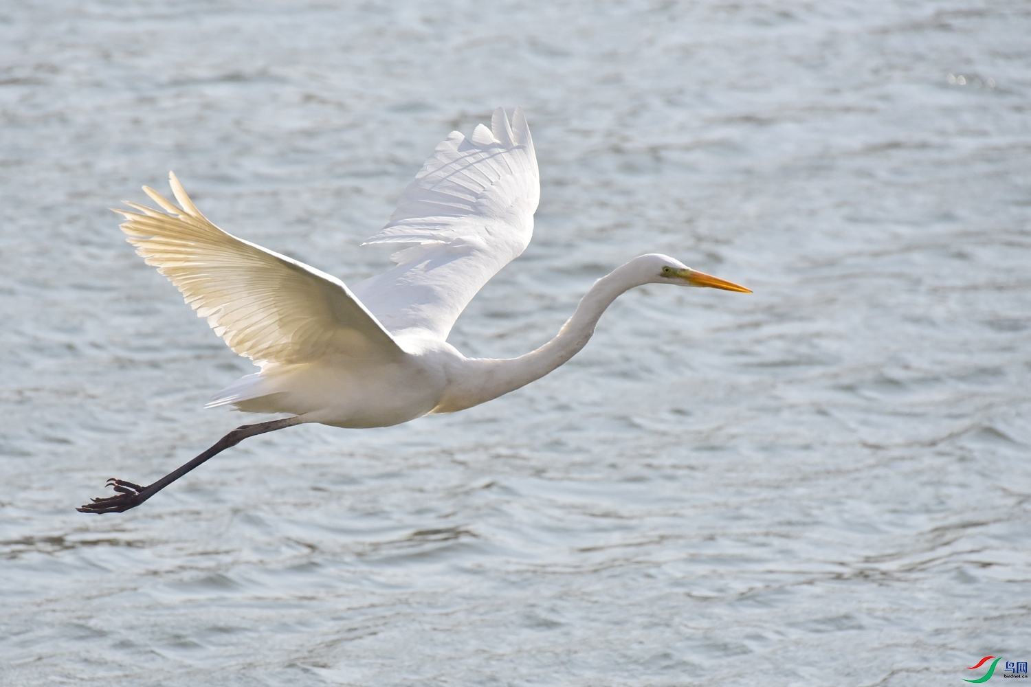 DSC_6108.JPG