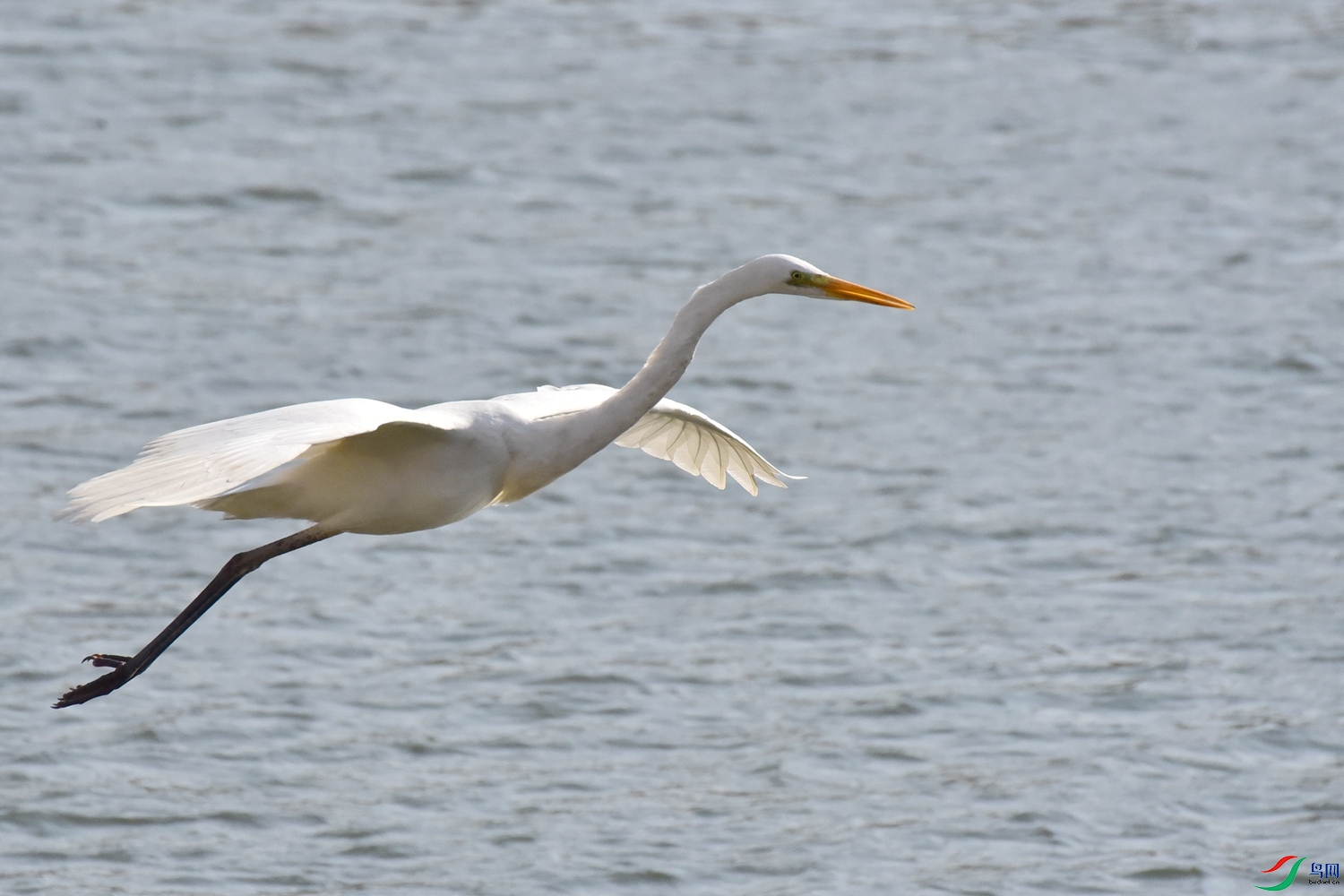 DSC_6105.JPG