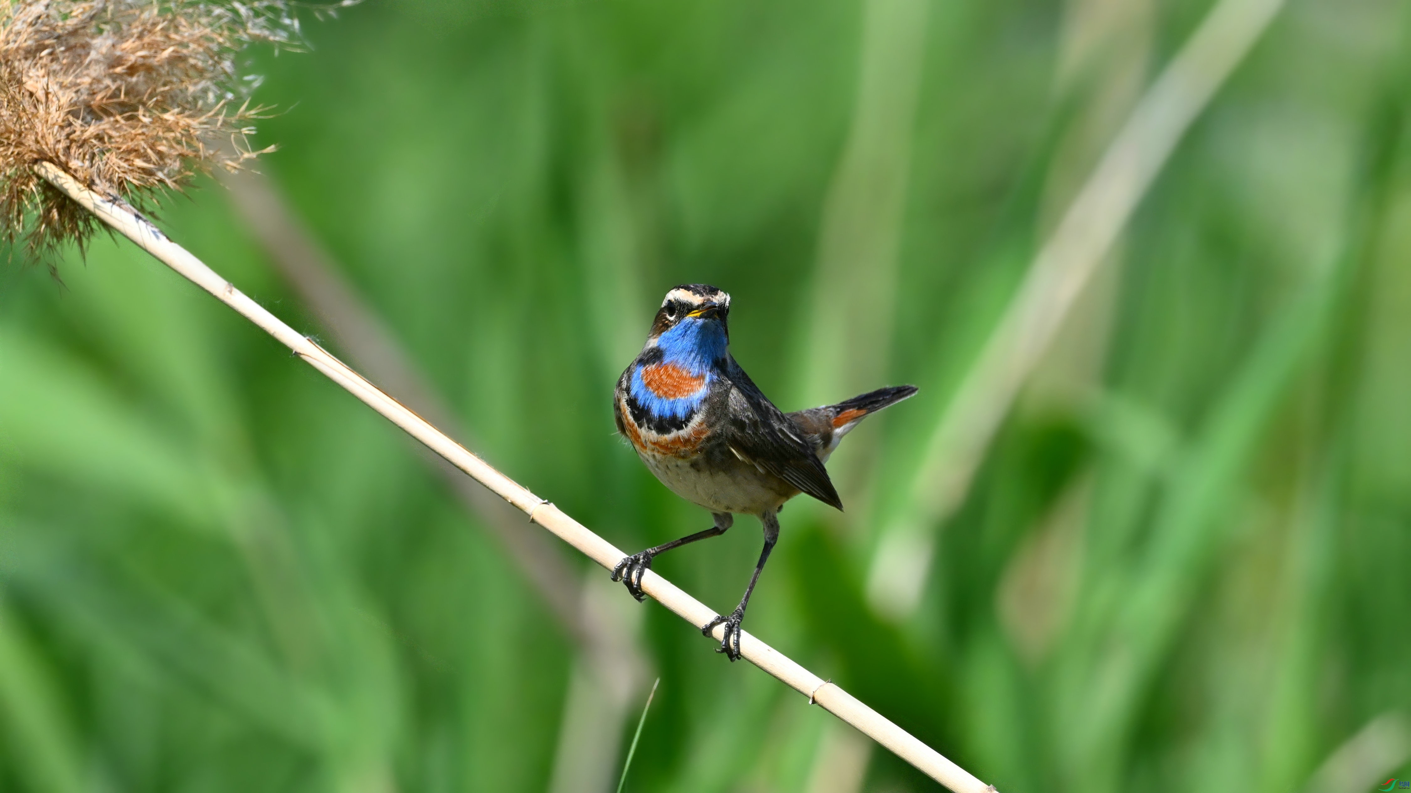 DSC_5601.JPG