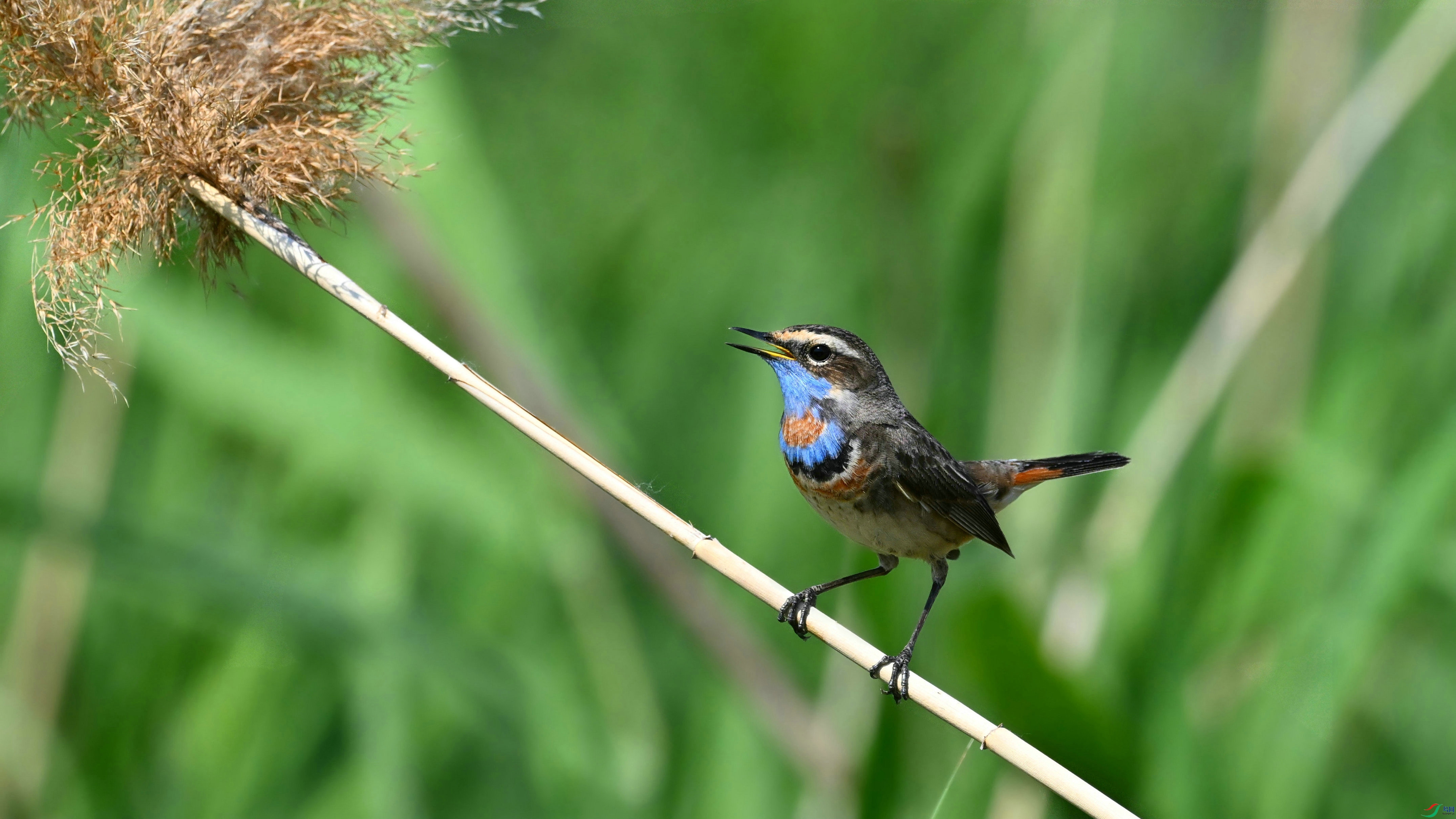 DSC_5562.JPG