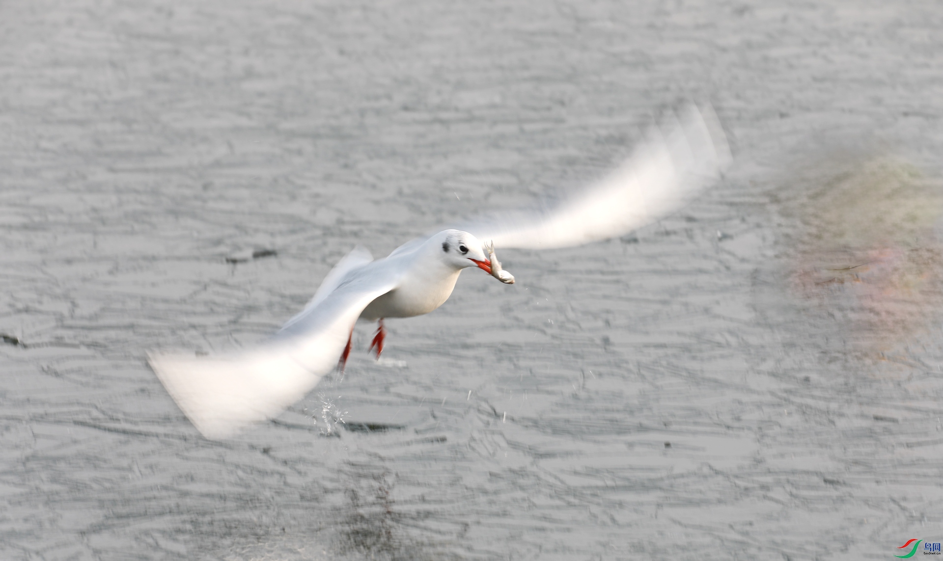 9G8A0308 ����.jpg