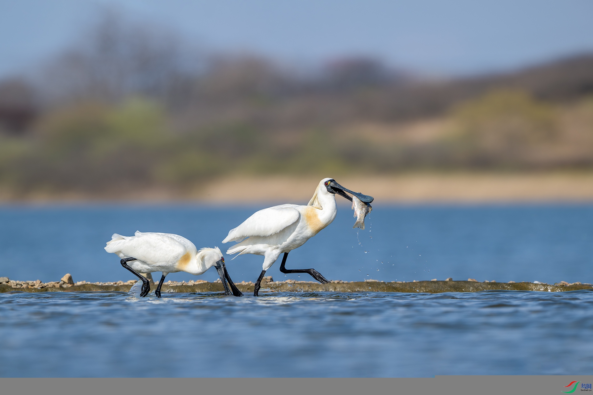 _DSC0349 ����С.jpg