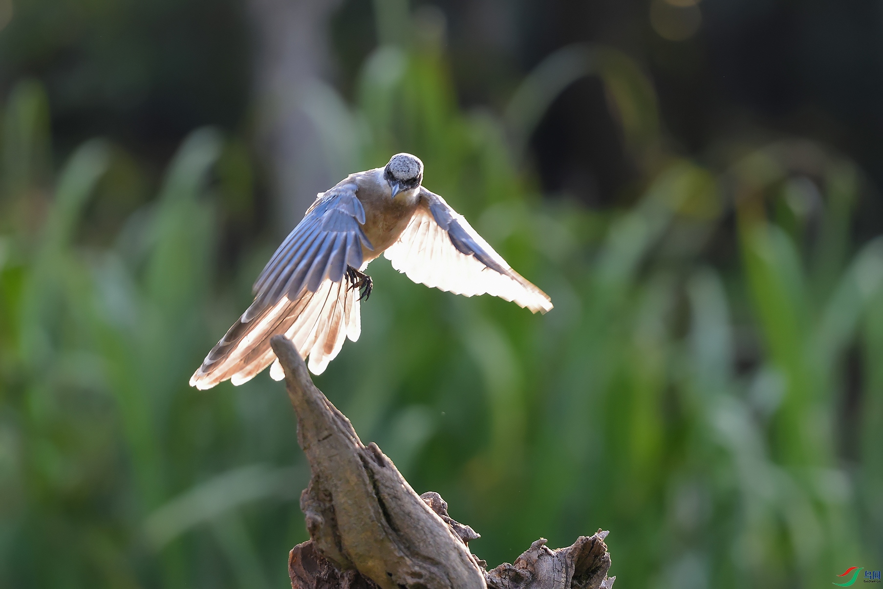 DSC_5090_DxOa.jpg