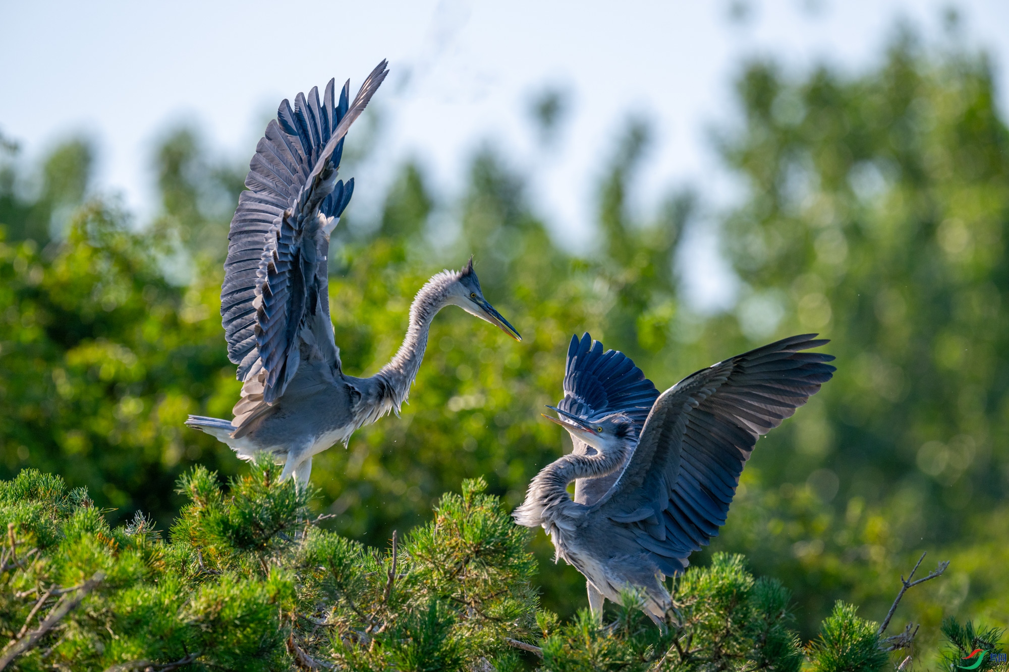 DSC_0761.jpg