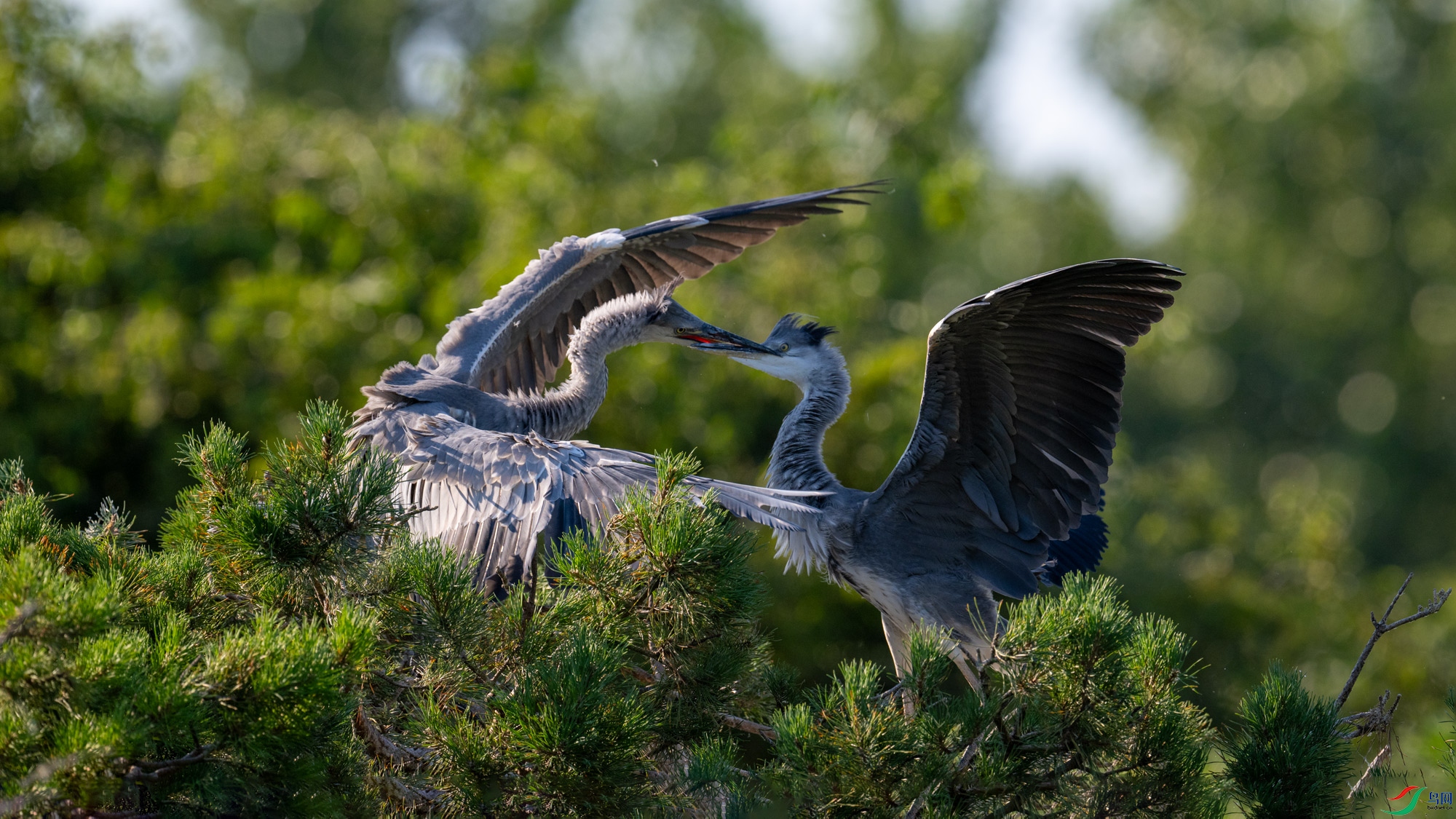 DSC_0782.jpg