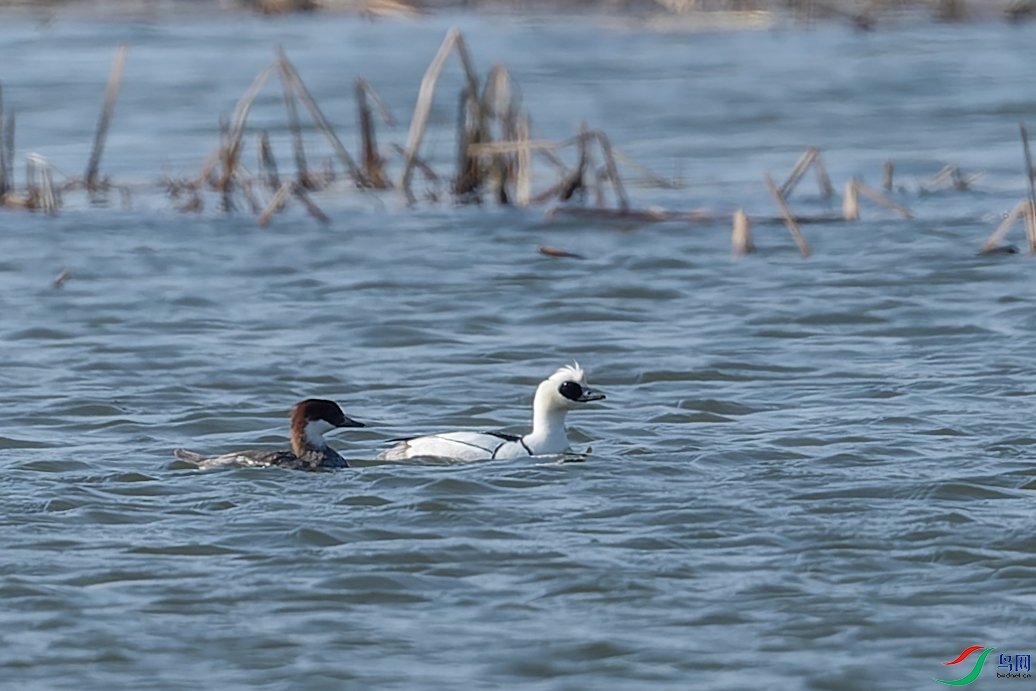 DSC_4358.jpg