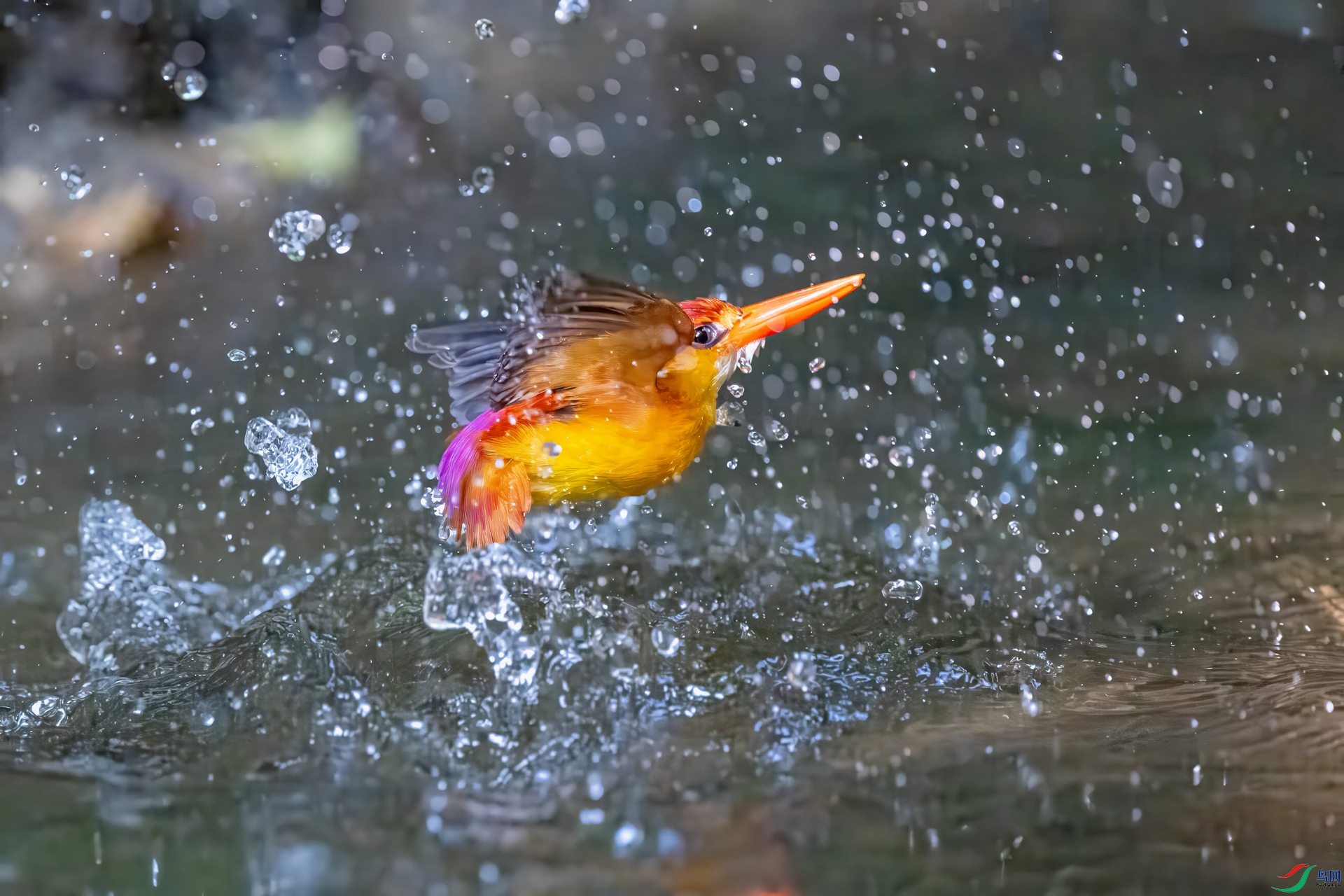 DSC_9282.jpg