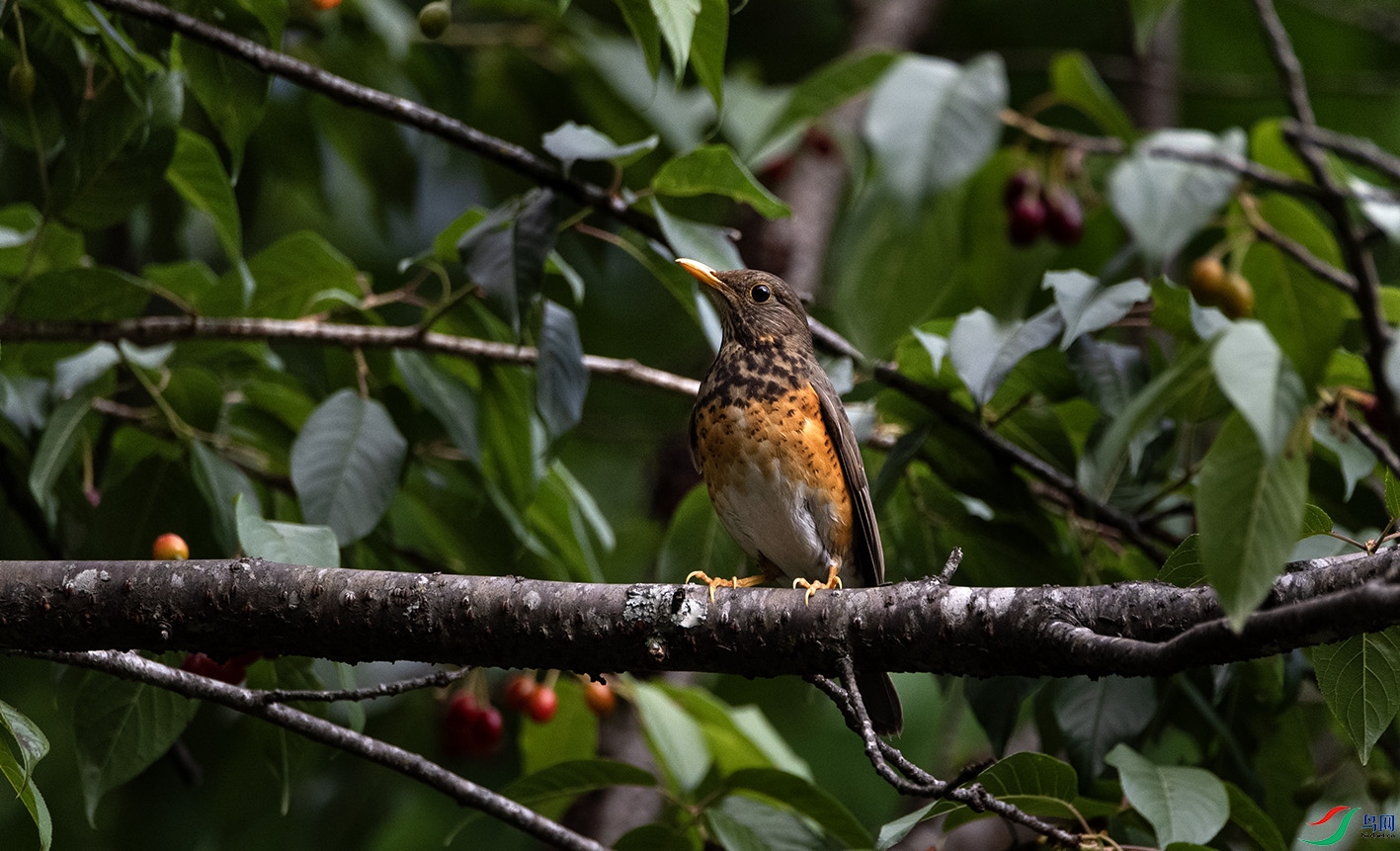 _DSC2237 ����.jpg