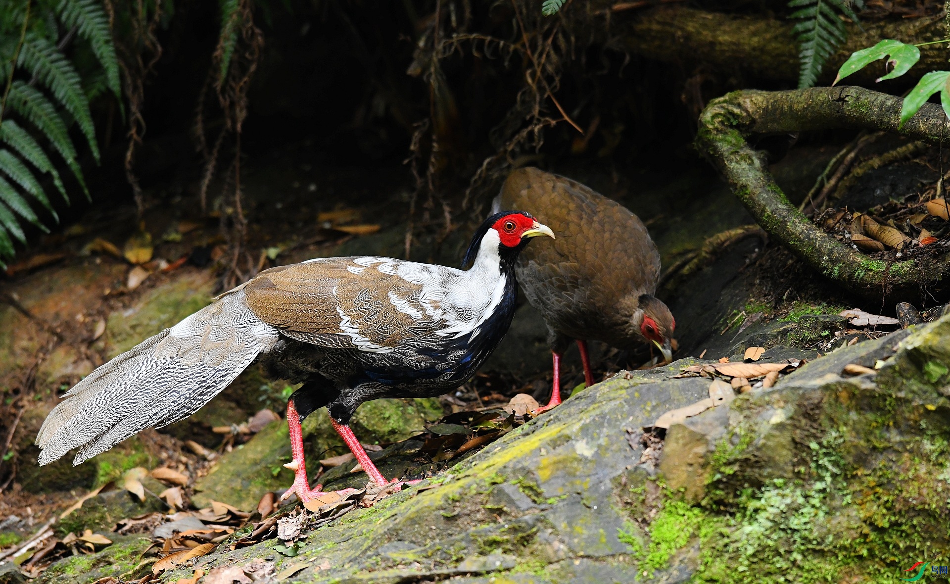 DSC_8896.jpg