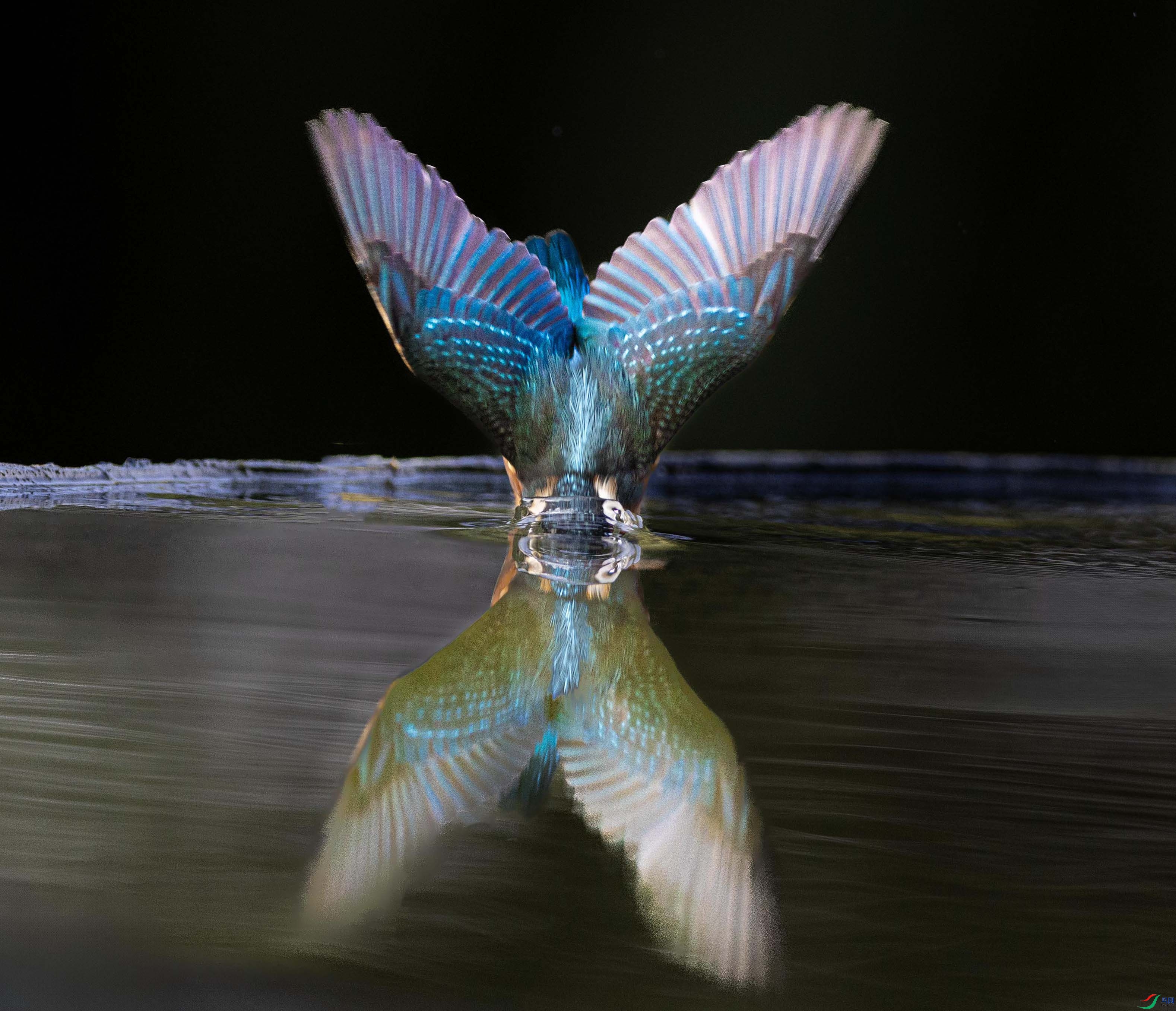 065A1671 ����===== ����.jpg