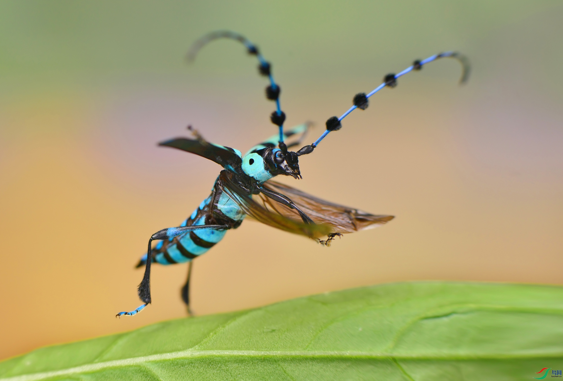 DSC_9265 ����.jpg