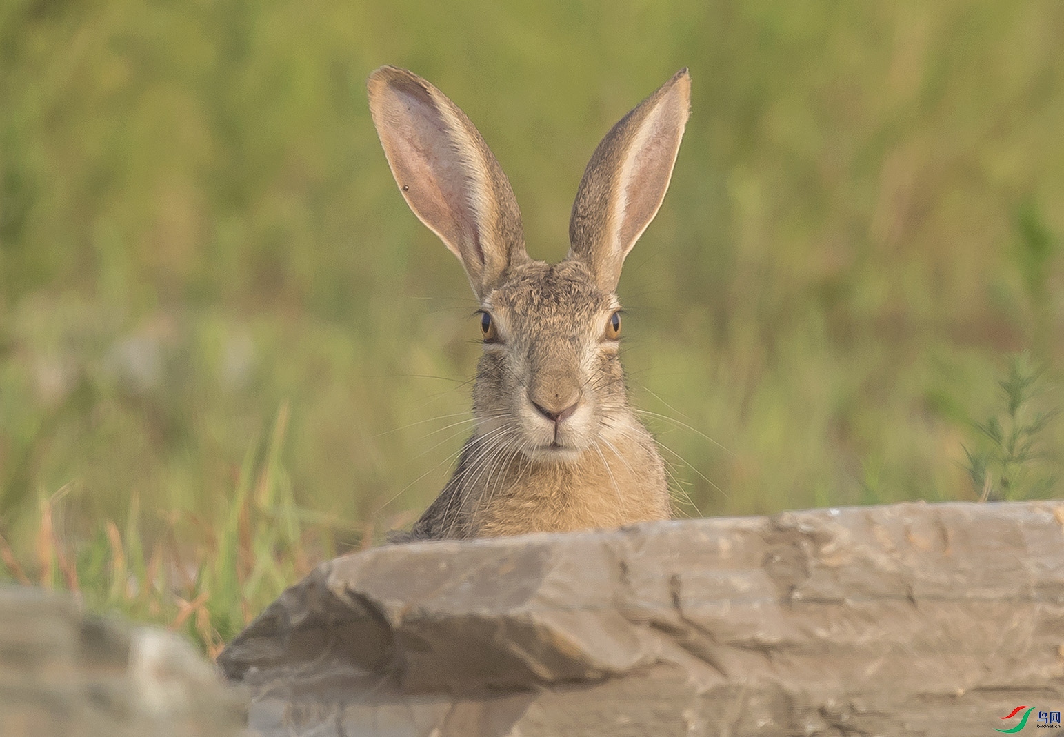 _90I3939 ���� 2.jpg