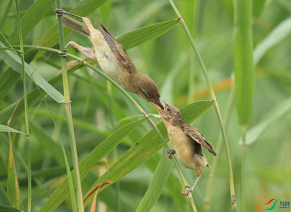 D72T0634.JPG