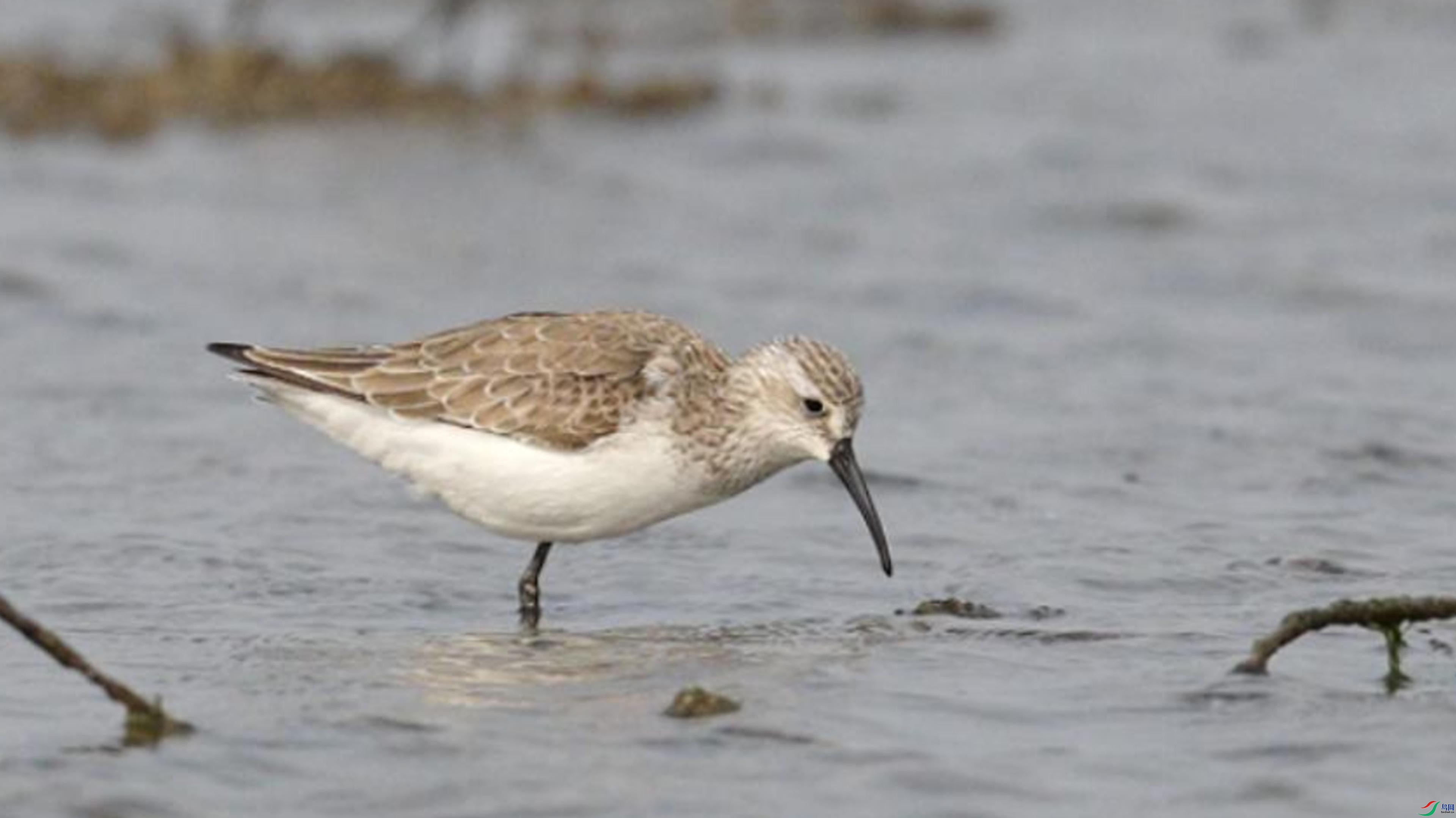 7��5�� (1)-����.jpg.jpg