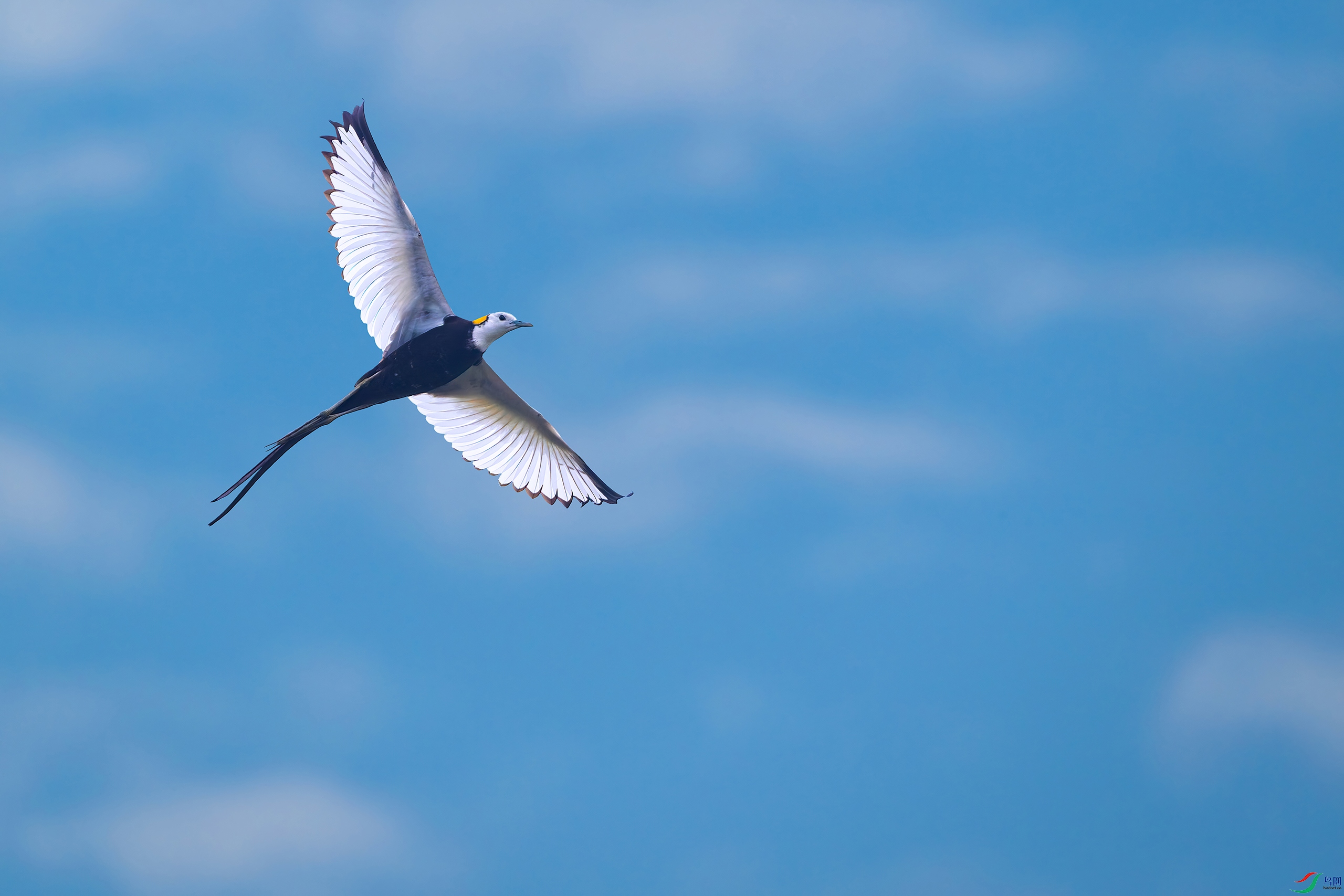 _DSC8176-DxO_С��ˮӡ.jpg