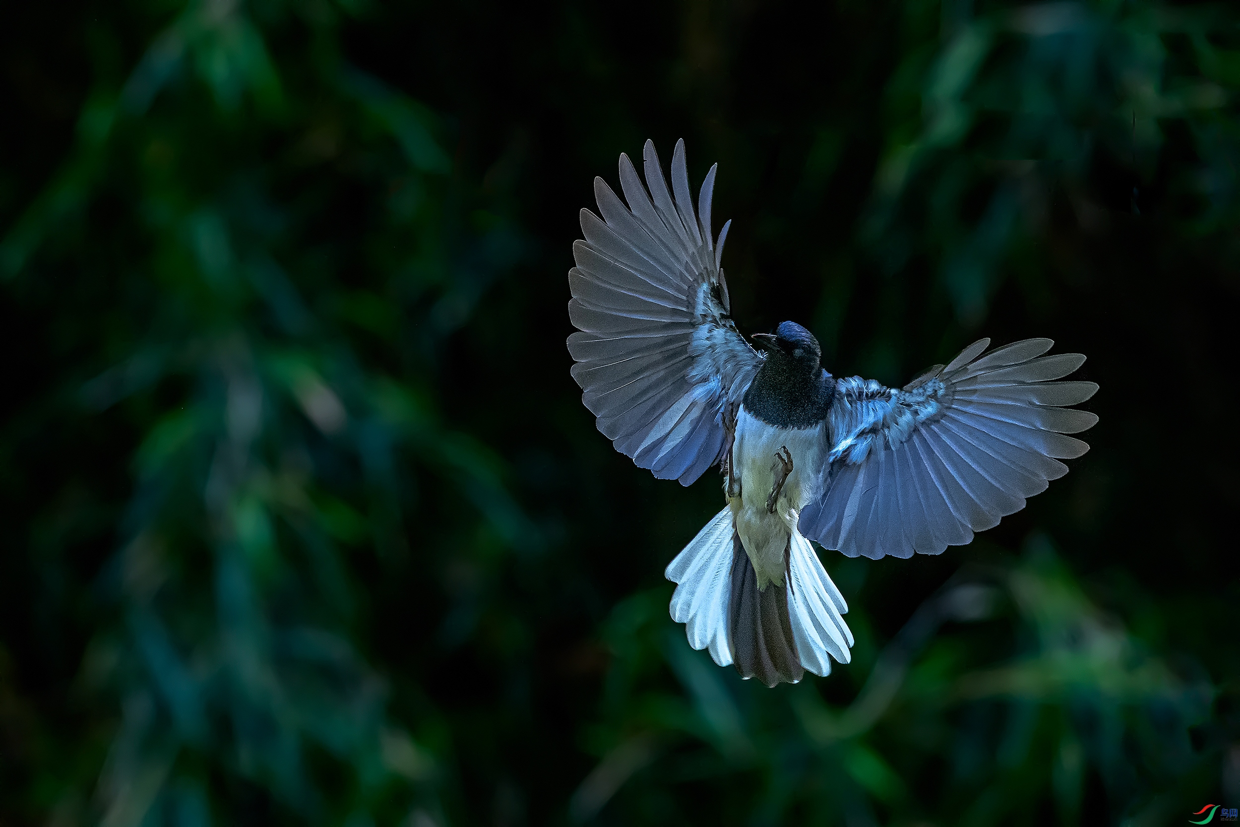 DSC_4846AB.jpg
