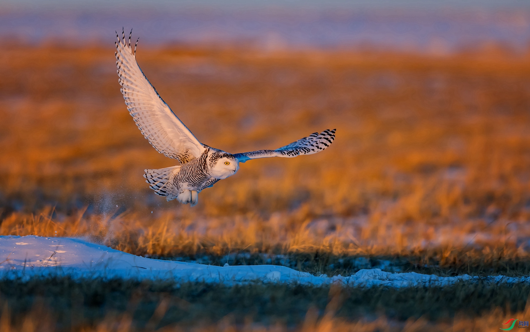 DSC_9613.jpg