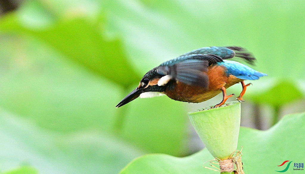 DSC_9939.JPG