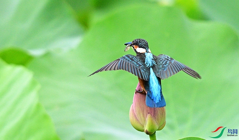 DSC_0446.JPG