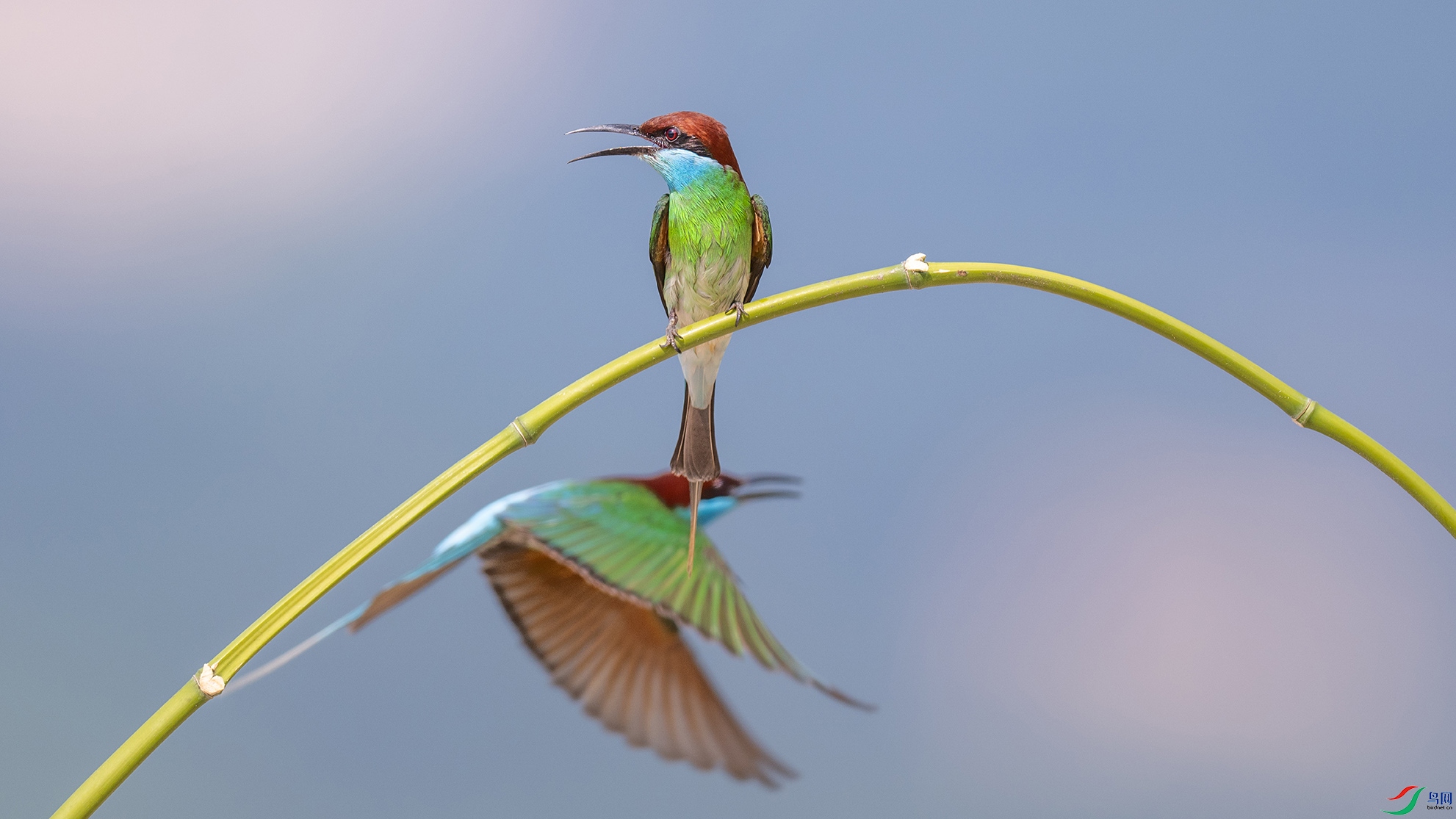 _DSC6219 ���� 21.jpg