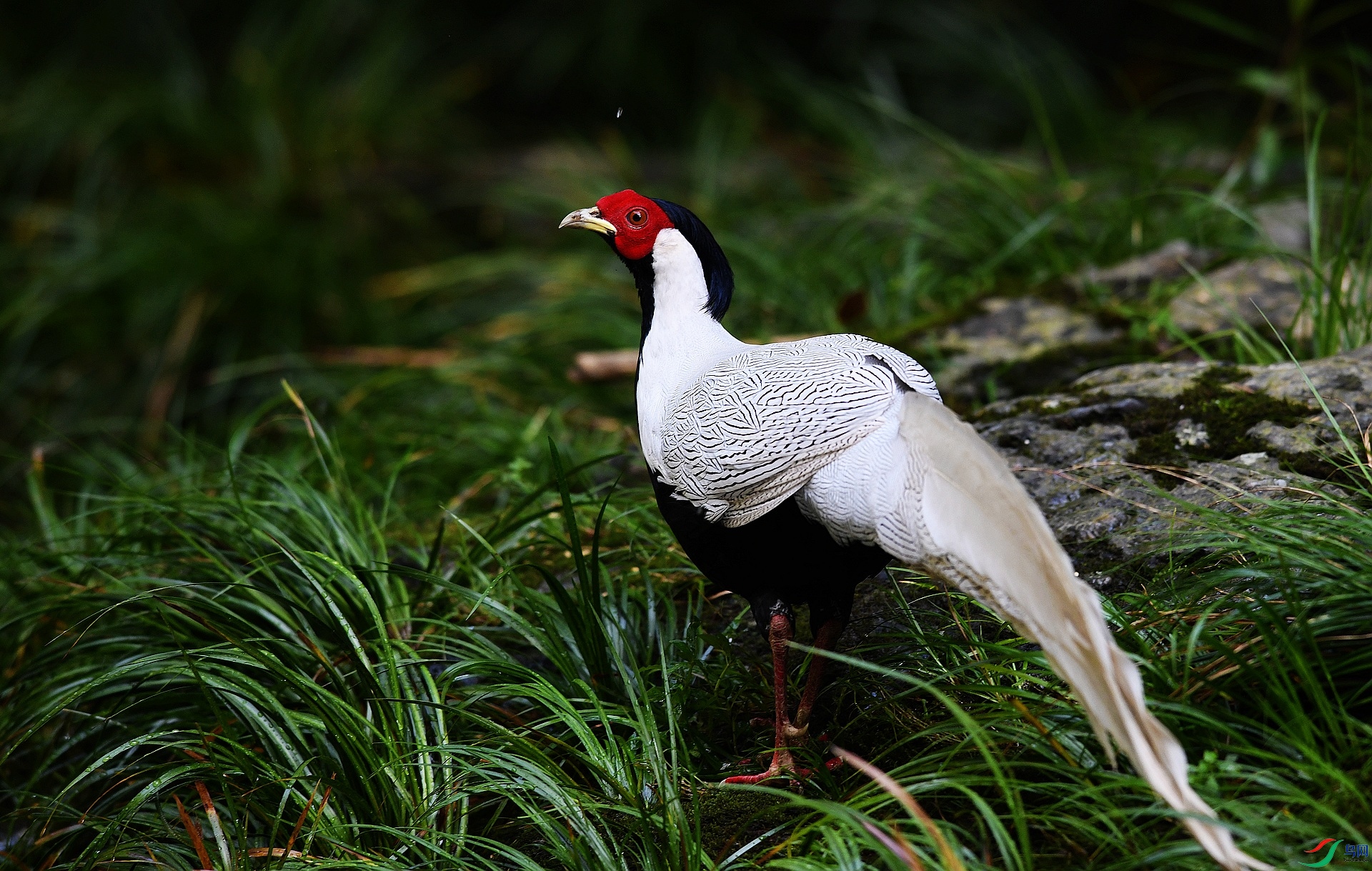 DSC_6689.jpg