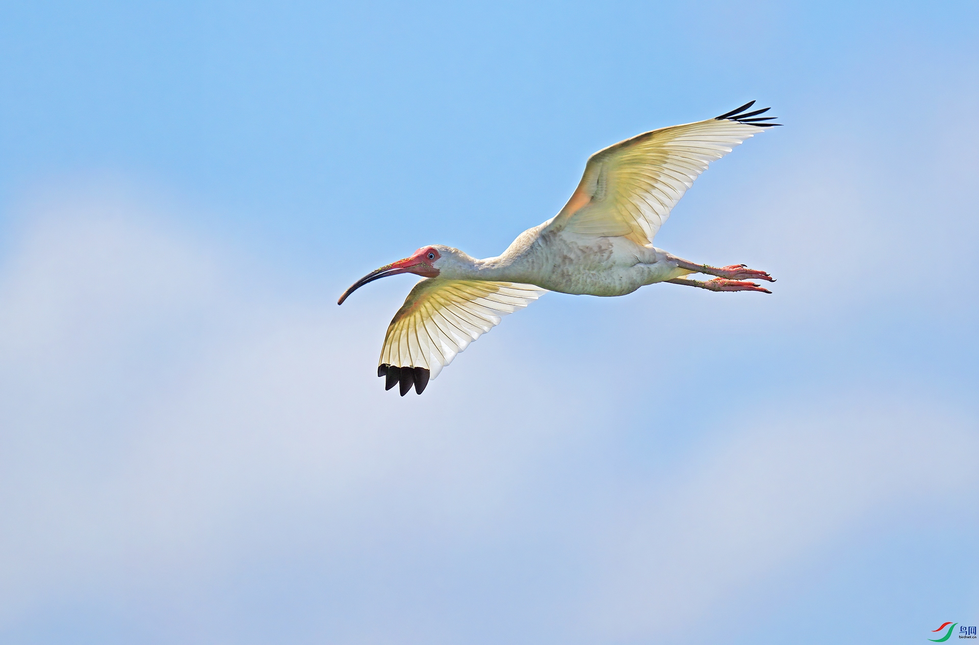 DSC03526--.jpg