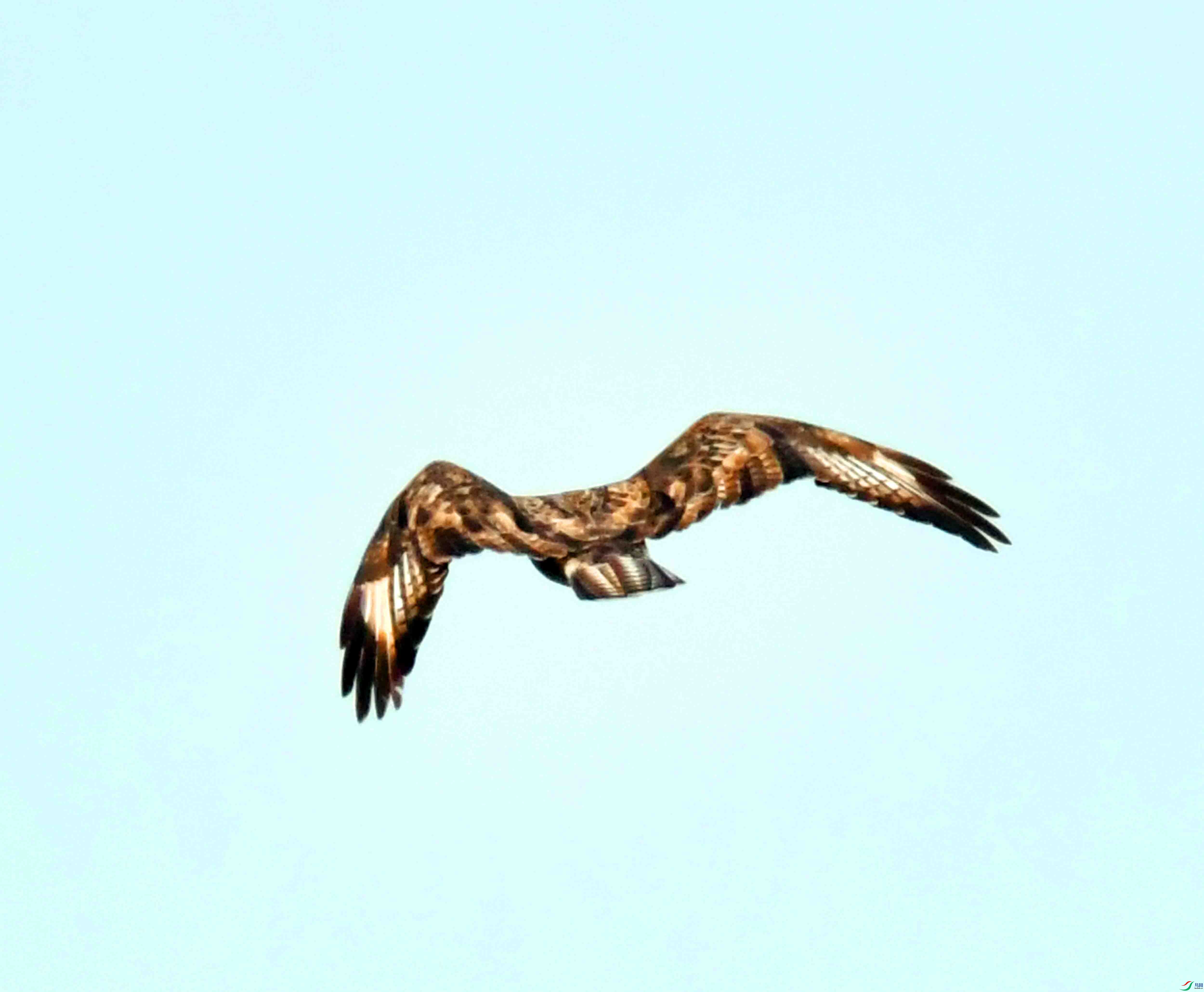DSC_2080.JPG