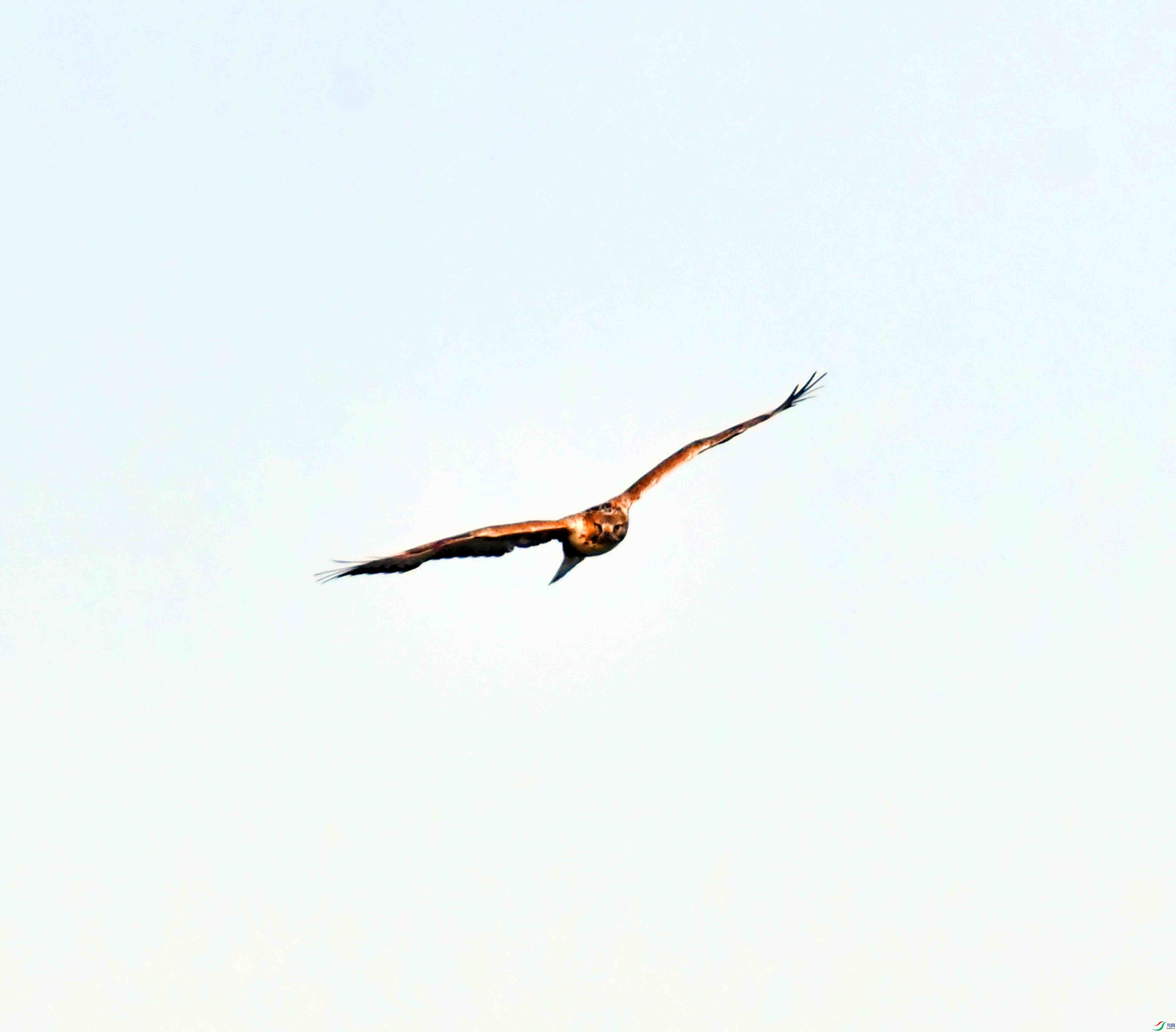 DSC_2094.JPG