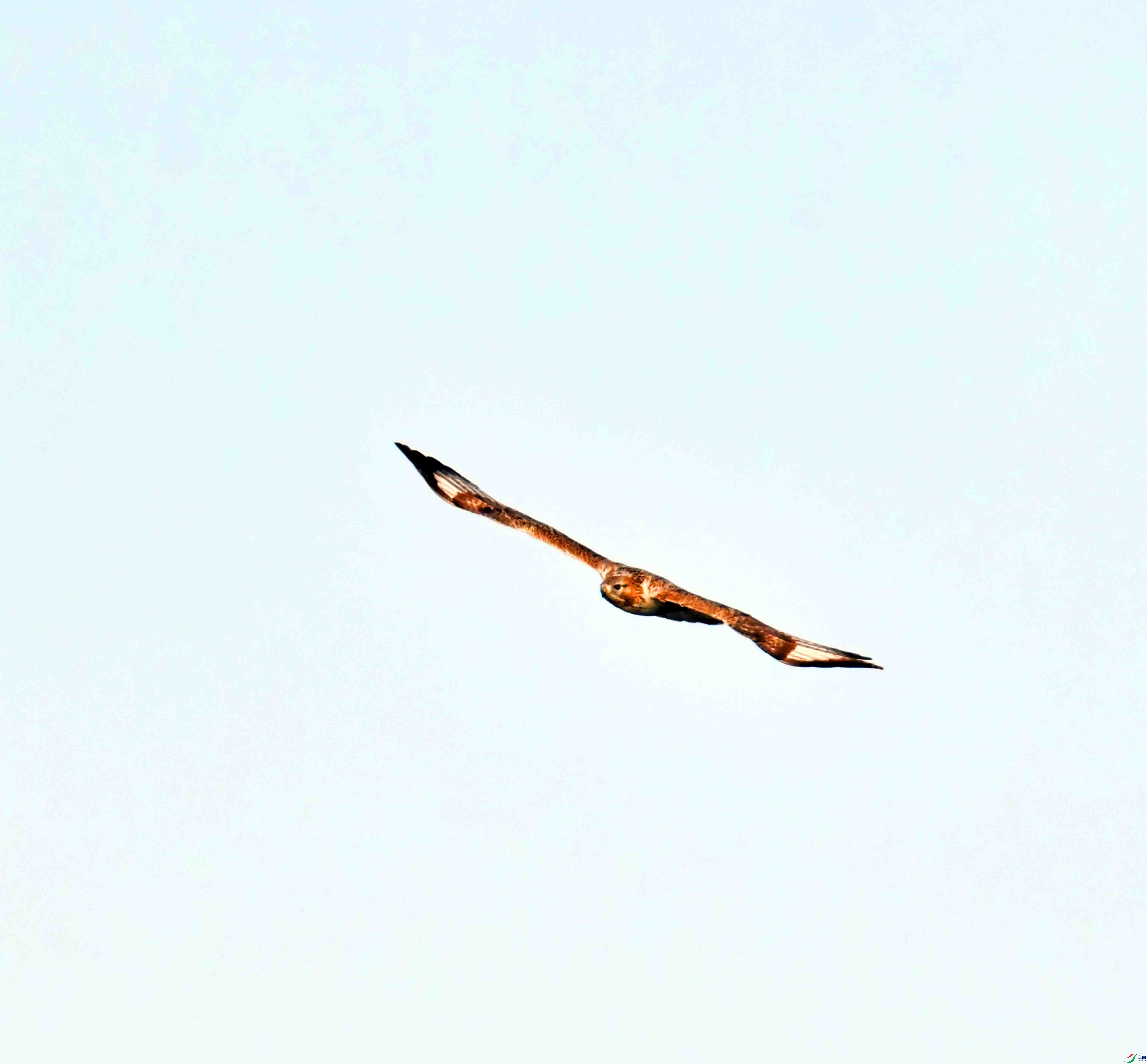DSC_2100.JPG