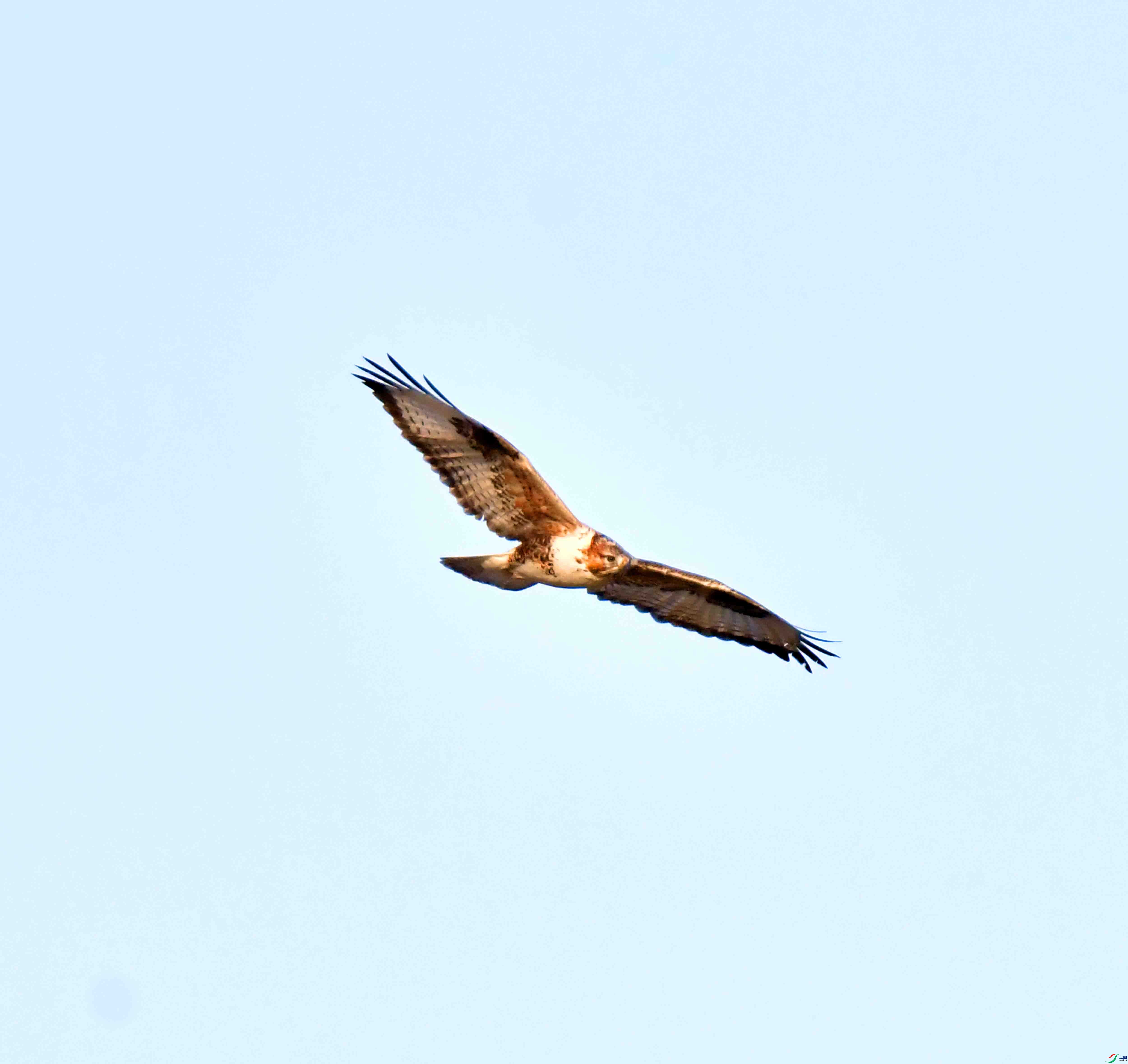 DSC_2102.JPG