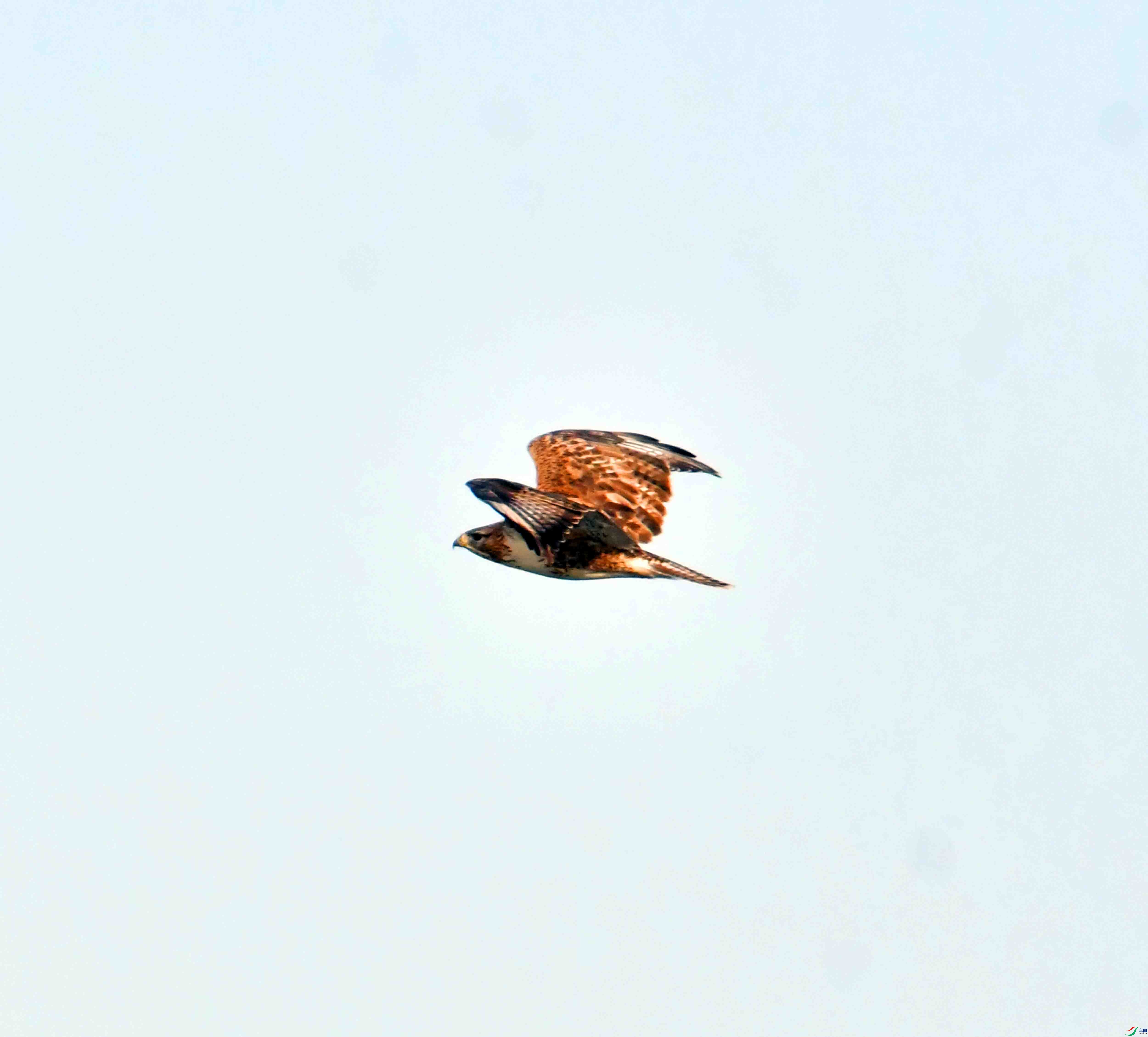 DSC_2114.JPG