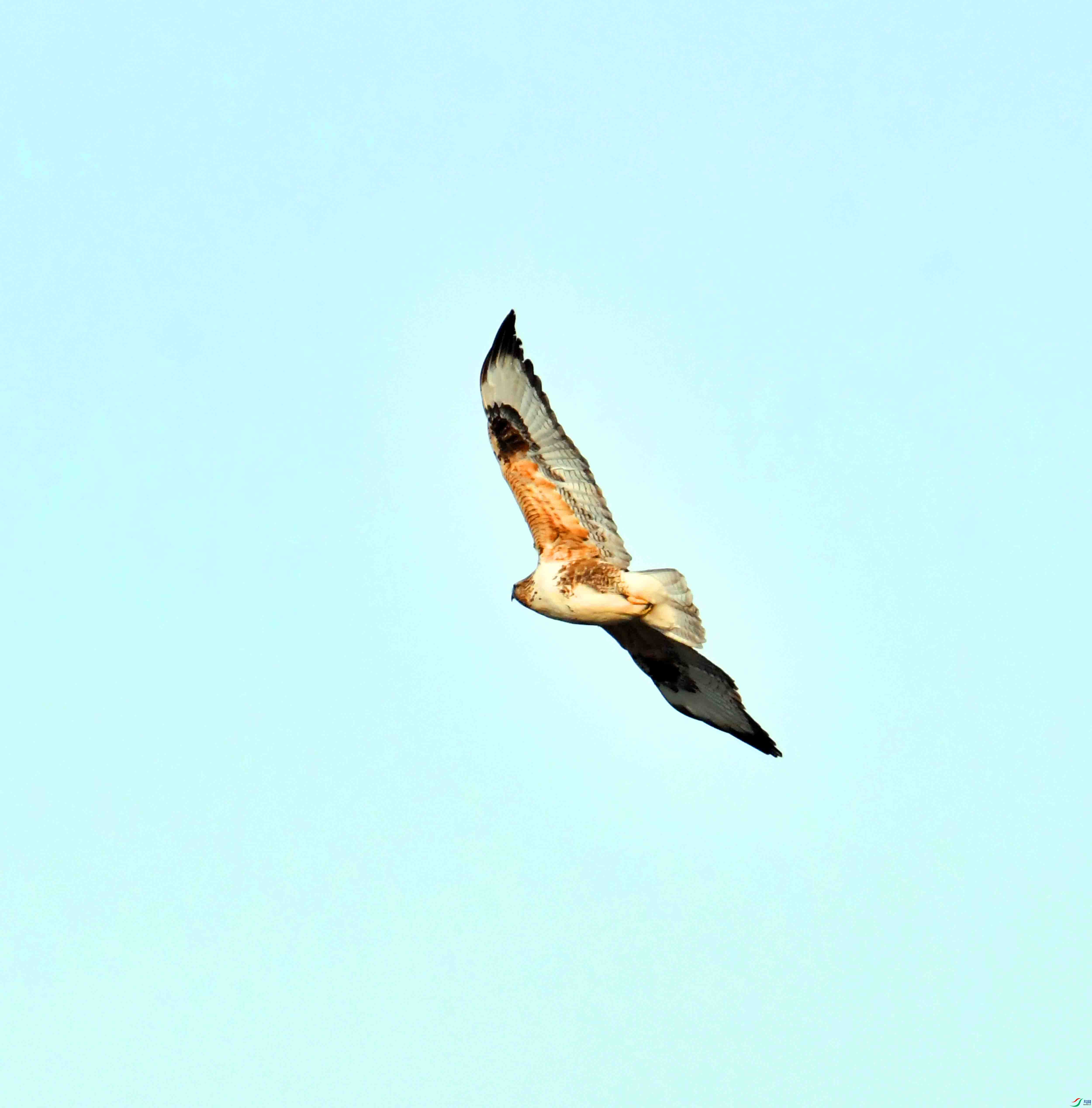DSC_2119.JPG