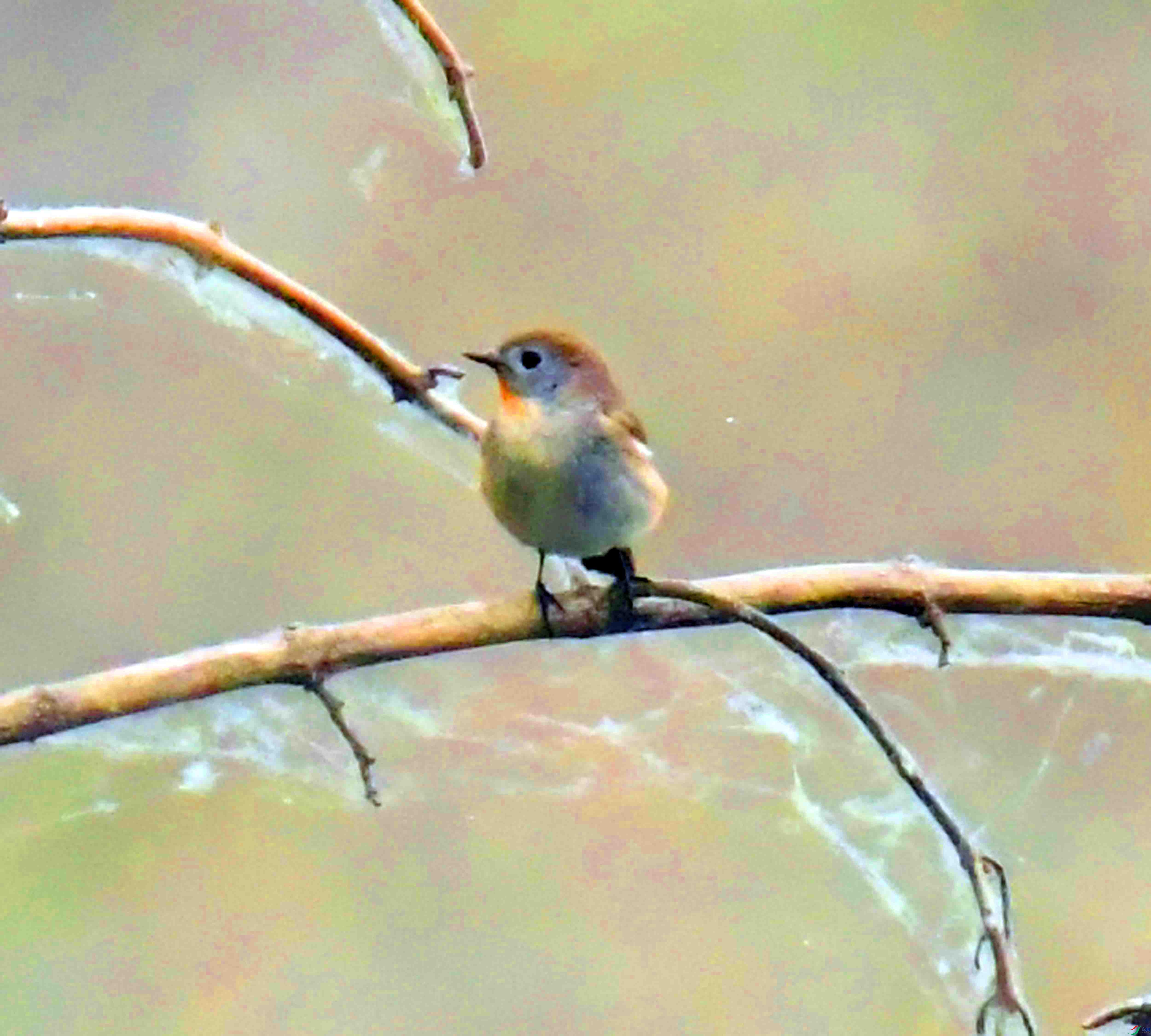 DSC_6922.JPG
