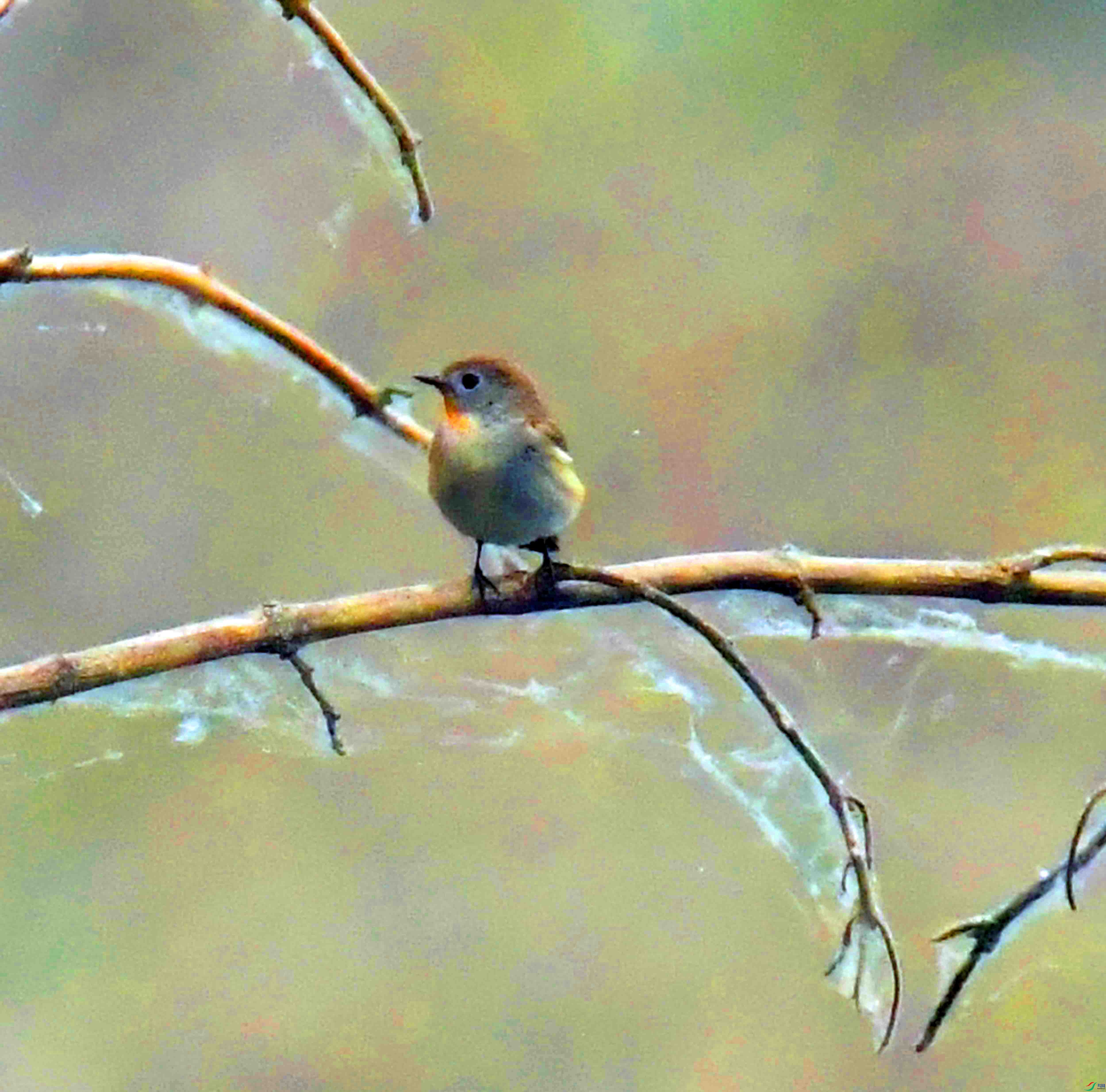 DSC_6921.JPG