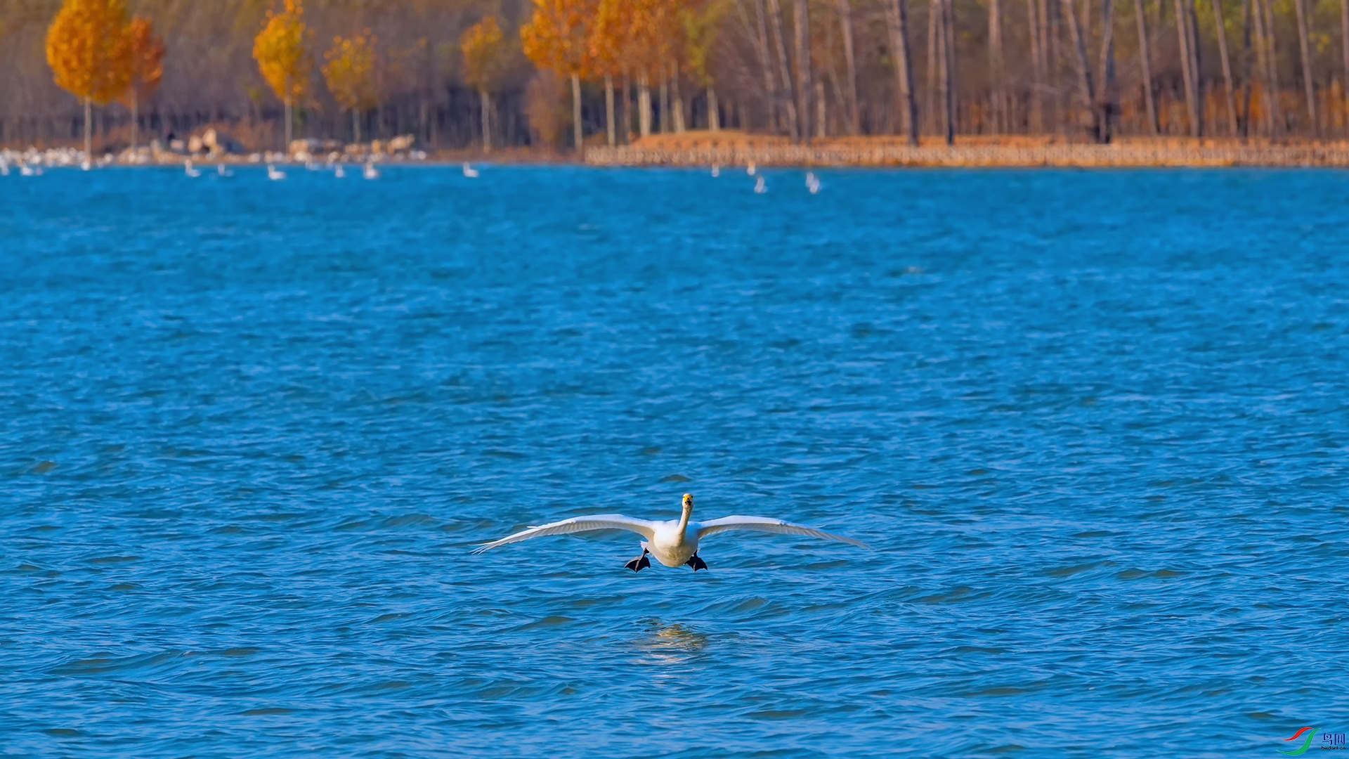 DSC_3480_DxOa.jpg