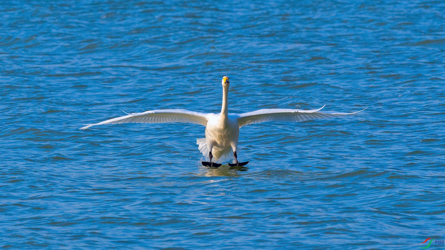 DSC_3494_DxOa.jpg